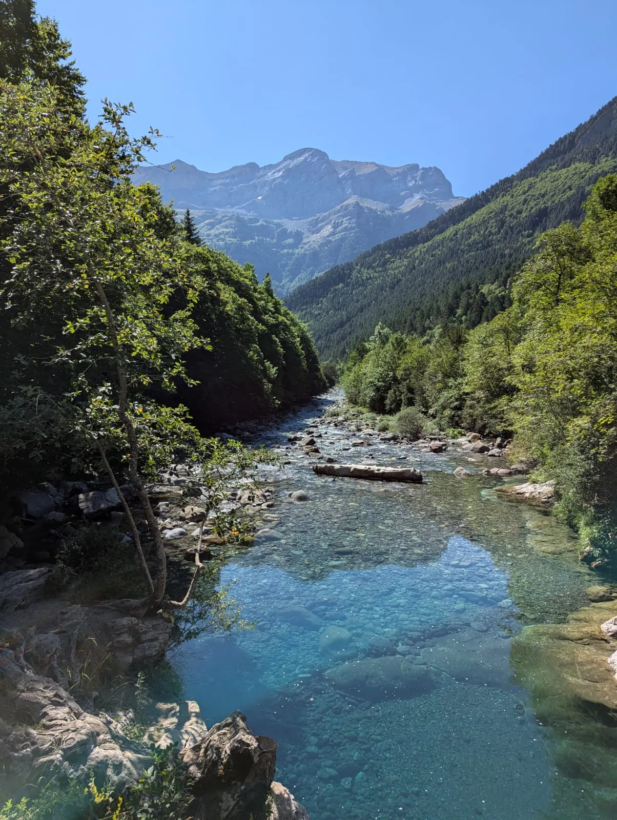 A clear mountain river running through a wooded valley in the Aragonese Pyrenees