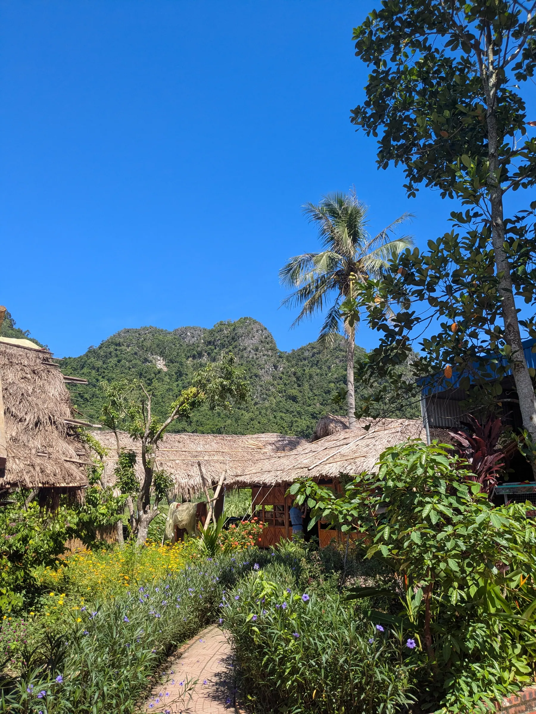 A paved rural path bordered by tropical trees leading into Viet Hai Village on Cat Ba Island