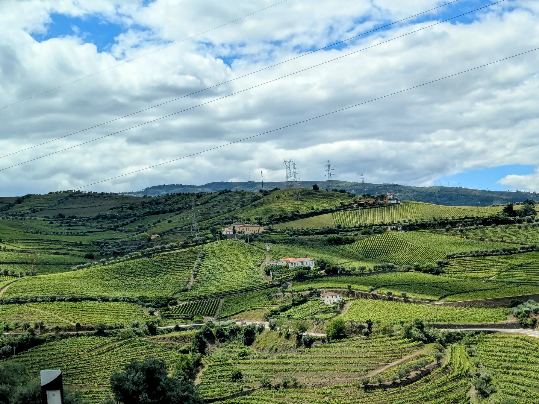 Green terraced vineyards across rolling hills in the Douro Valley