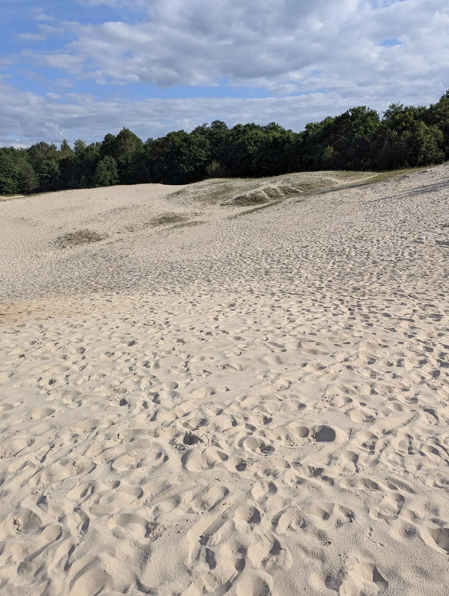 The sandy White Dune landscape on the Tukums coast