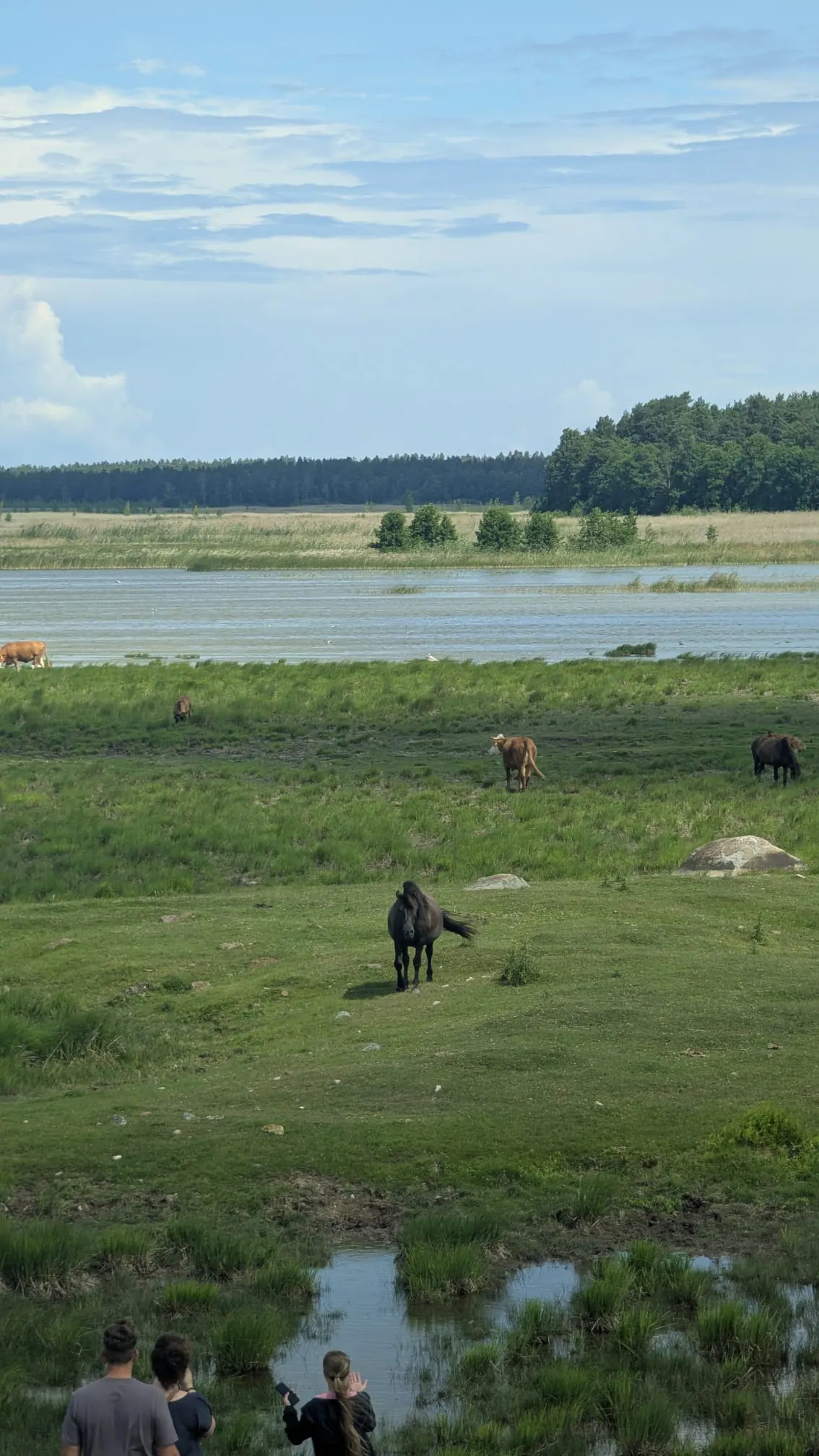 A distant view across the meadows of Engure Lake nature park