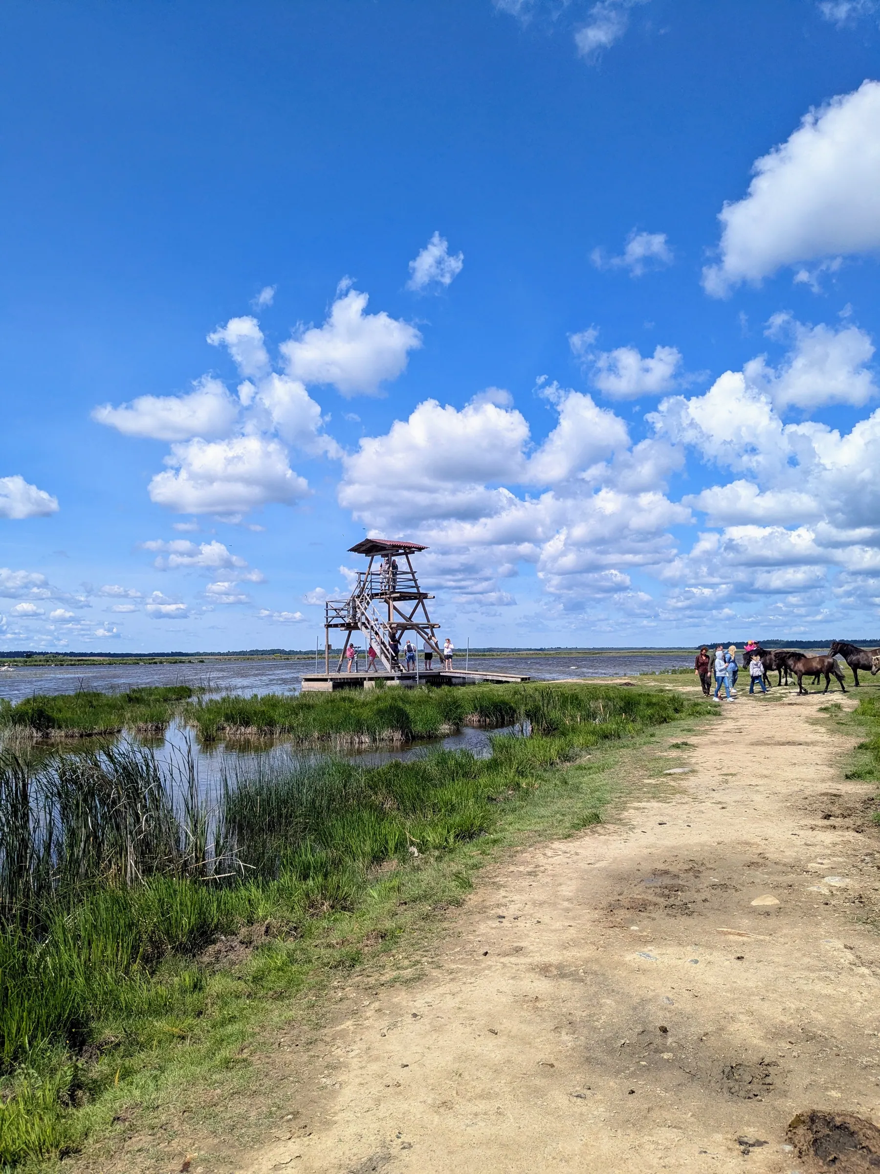 The path leading to the bird-watching tower at Lake Engure