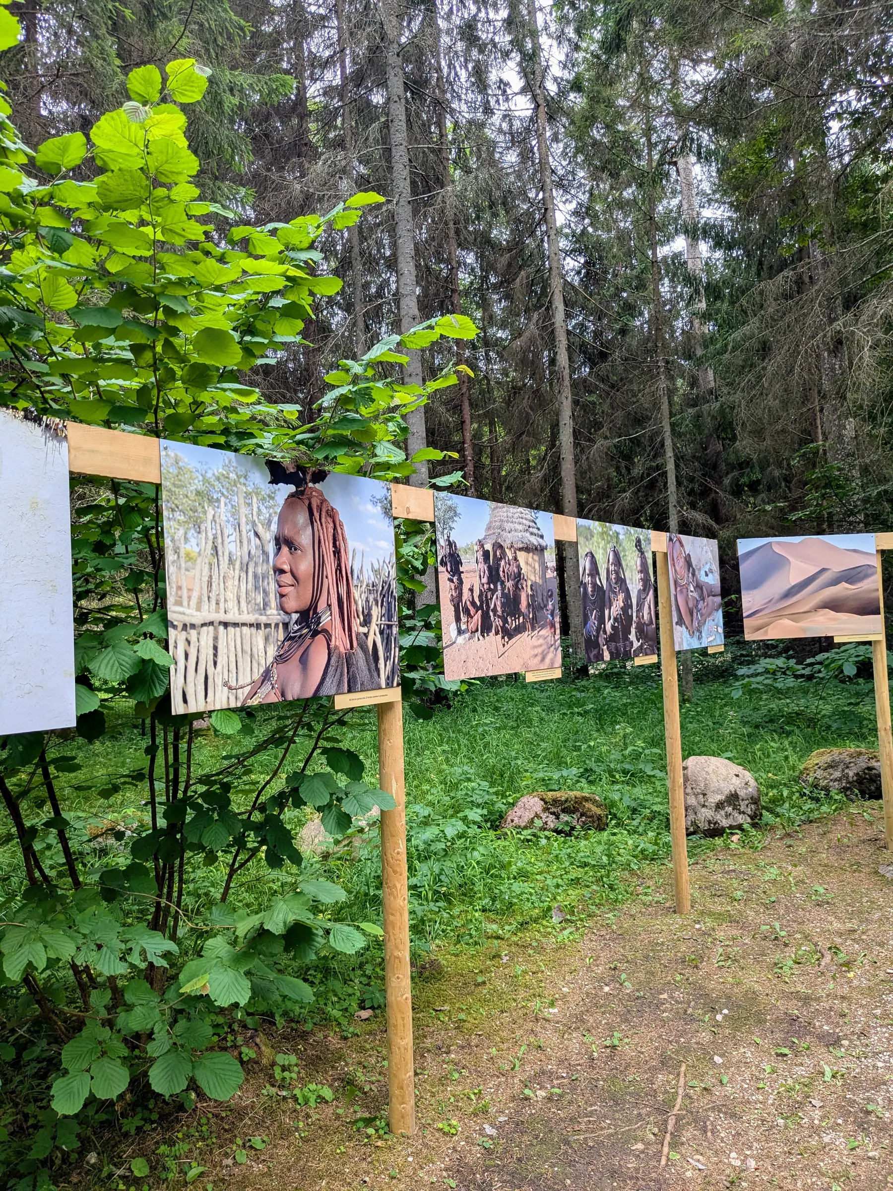 Photographs displayed among the trees at Valguma Pasaule