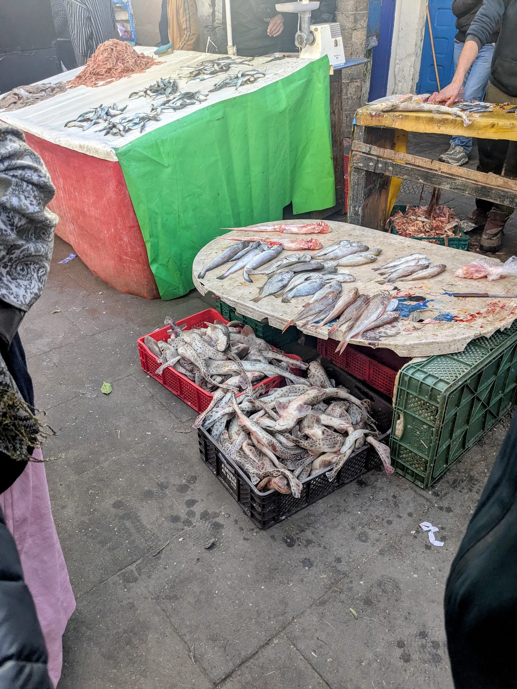 Fish laid out on market tables in Essaouira