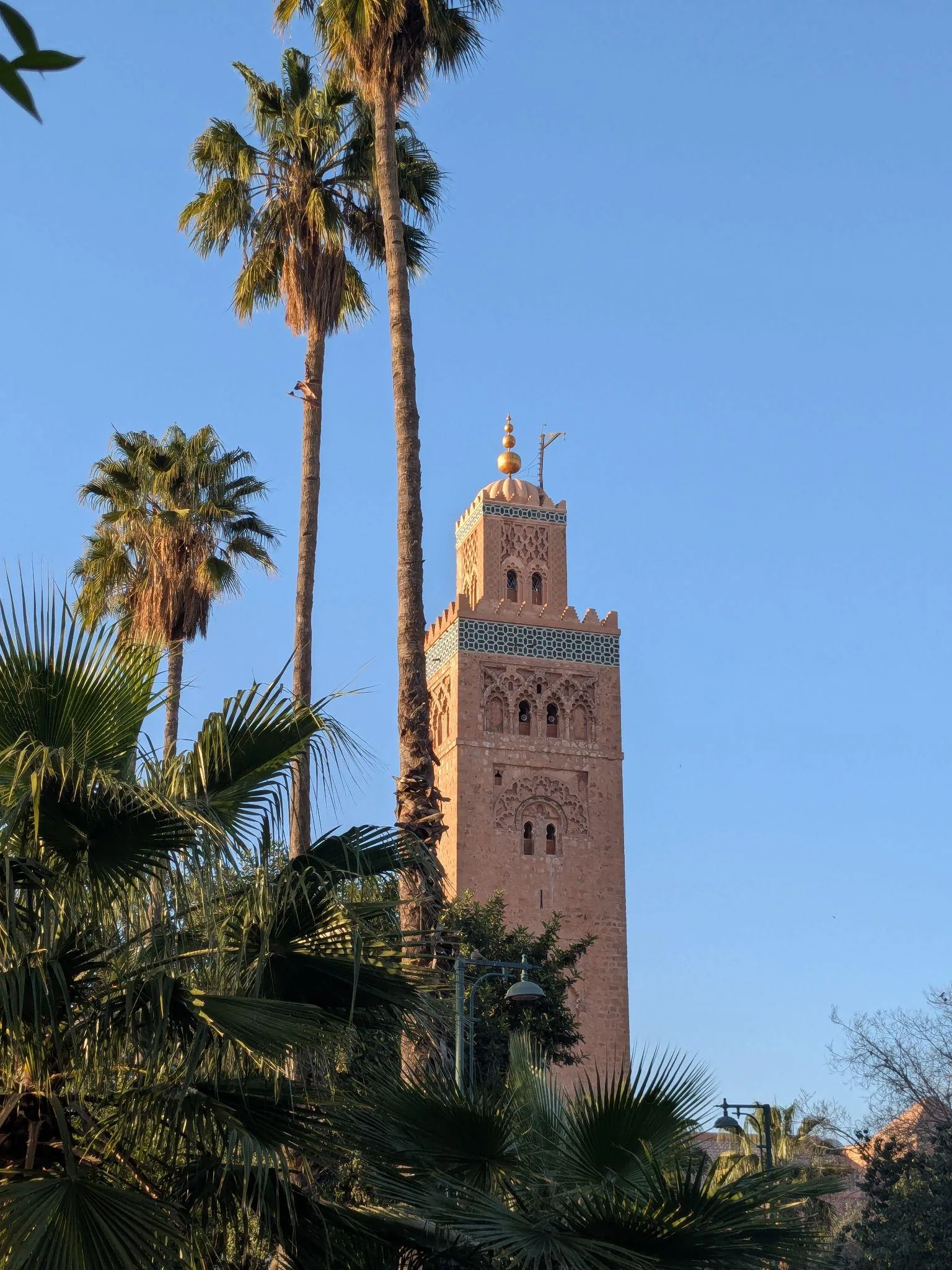 The Koutoubia minaret rising above palm trees in Marrakech