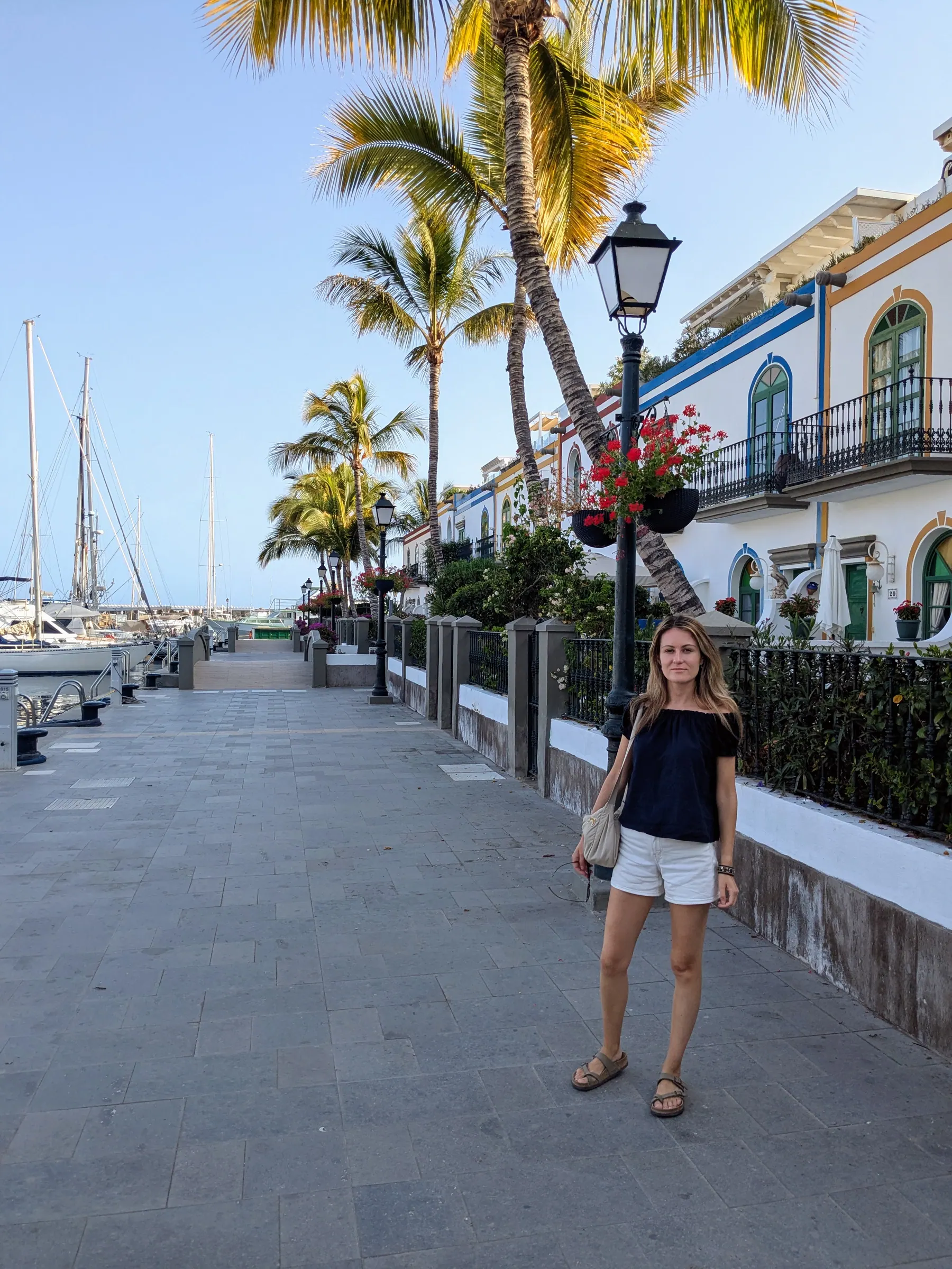 A palm-lined waterfront street in Puerto de Mogán