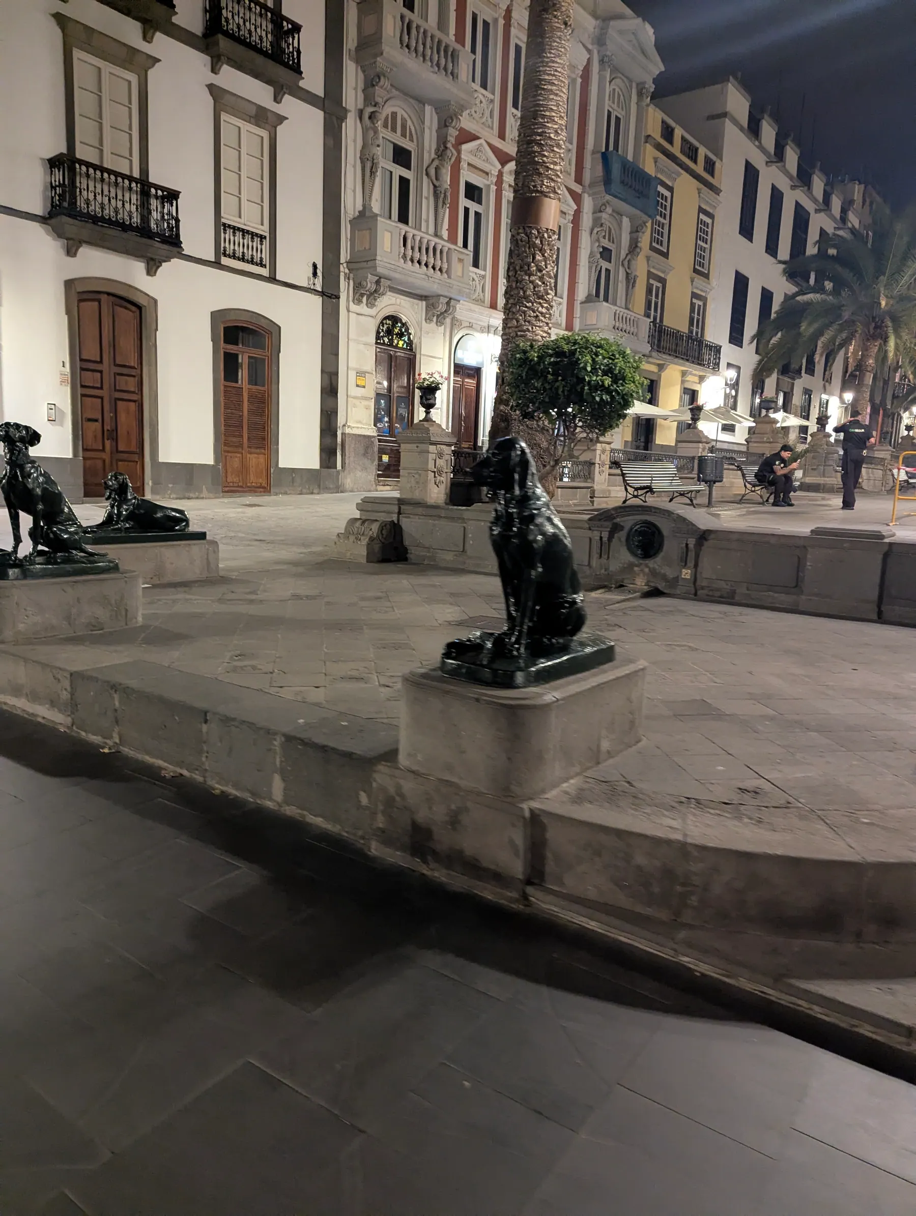 Bronze podenco statues in Plaza de Santa Ana in Las Palmas at night