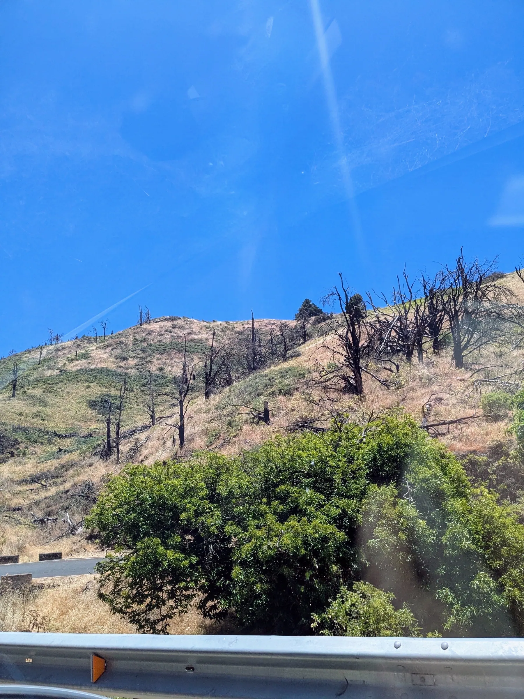 A sunlit dry slope in the western highlands of Gran Canaria