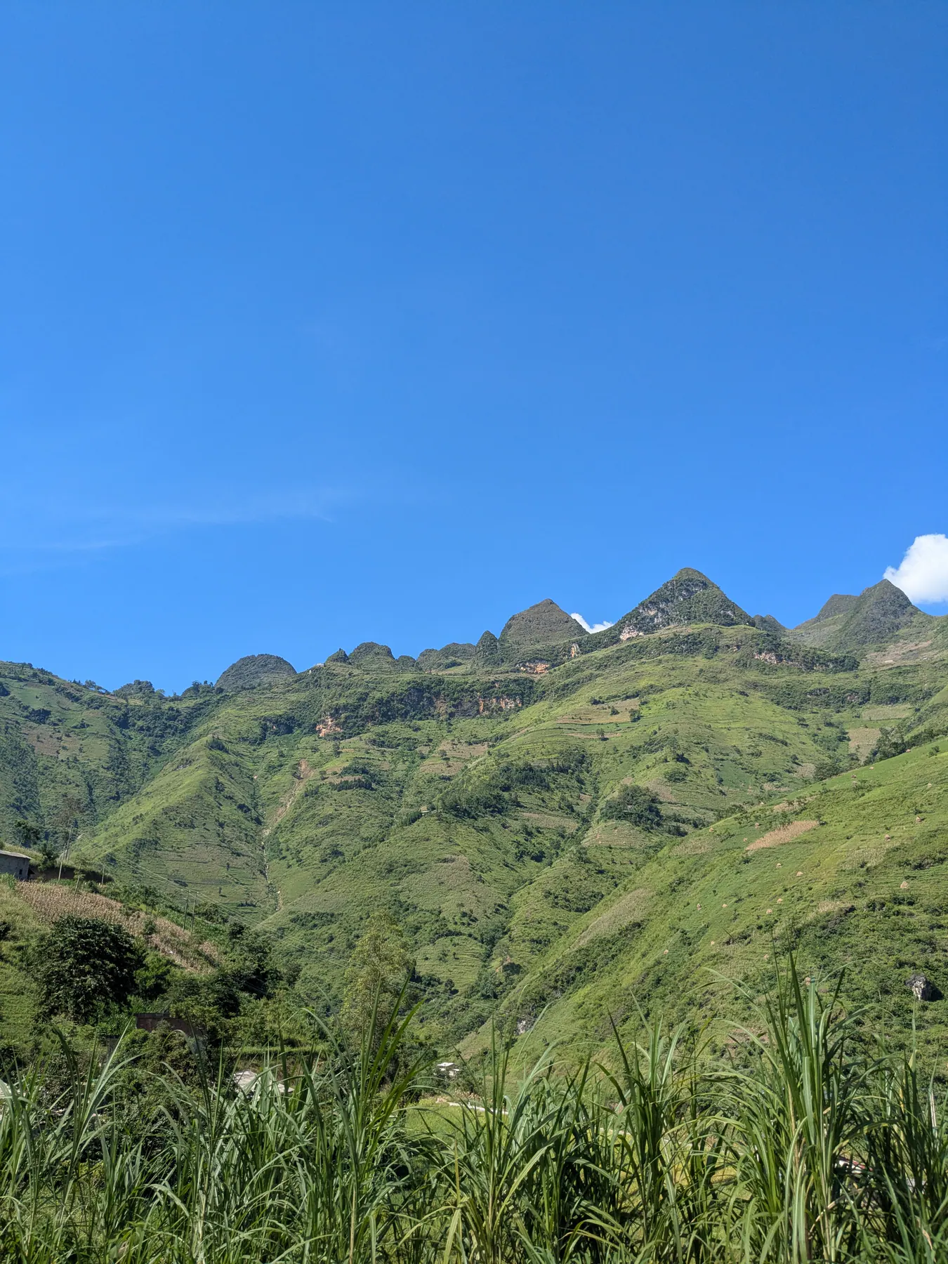 Green mountain slopes beneath a clear blue sky on the descent to the Nho Que River