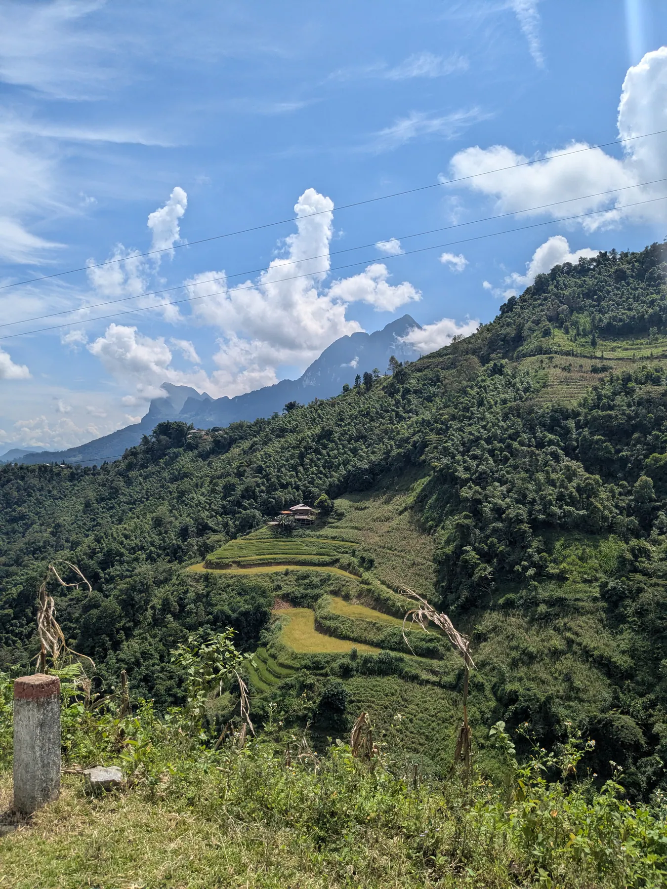 Small cultivated terraces stepping up a green hillside under white clouds near Mau Due