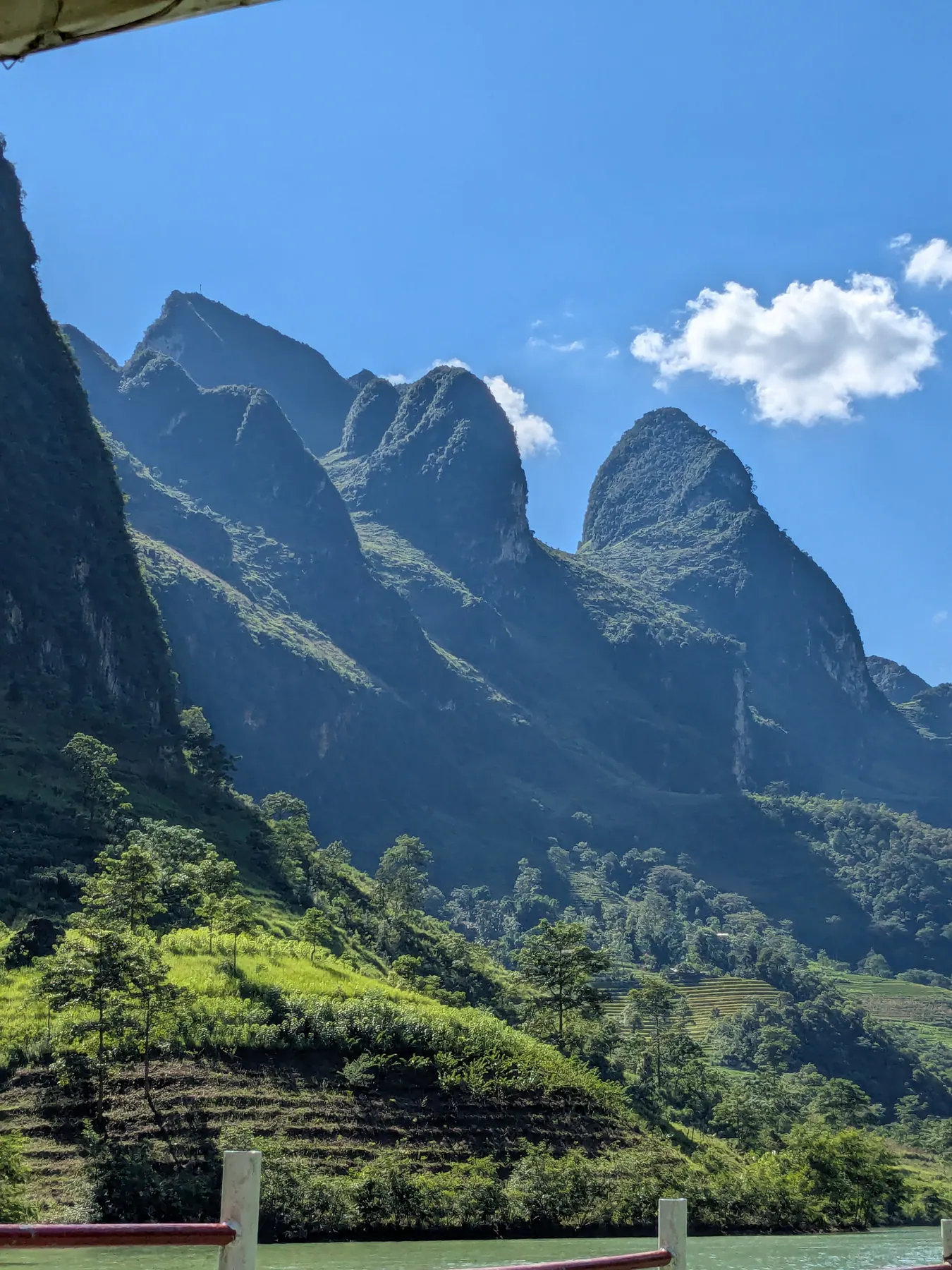 Tall folded limestone cliffs seen above roadside plants in the Nho Que canyon area