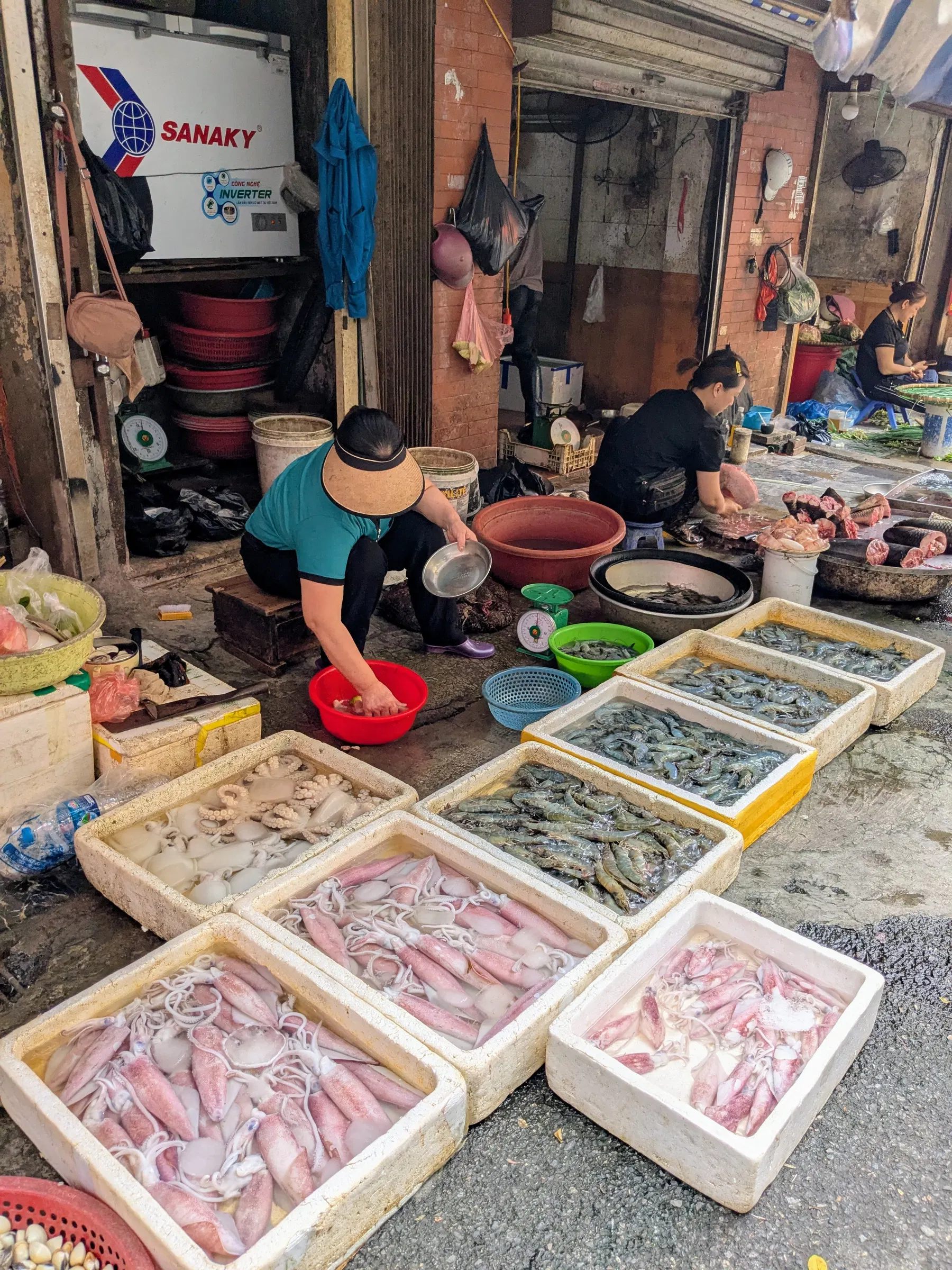 Fresh fish displayed in trays at a Hanoi market