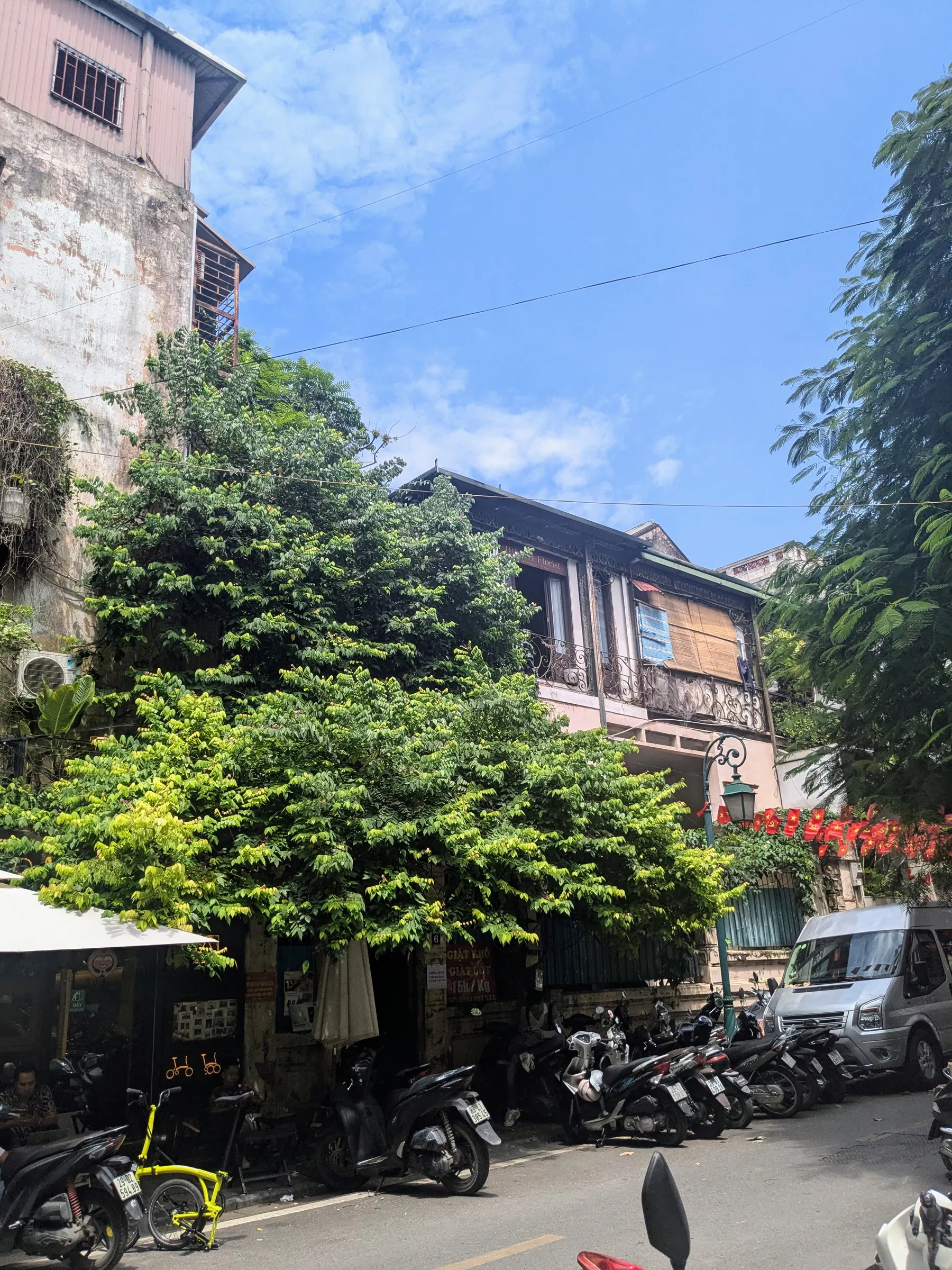 A leafy street lined with low buildings and motorbikes in Hanoi