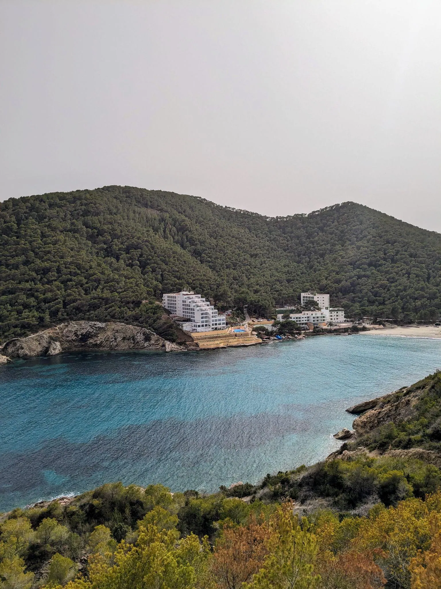 The sheltered turquoise inlet of Cala Llonga flanked by pine-covered coastal hills