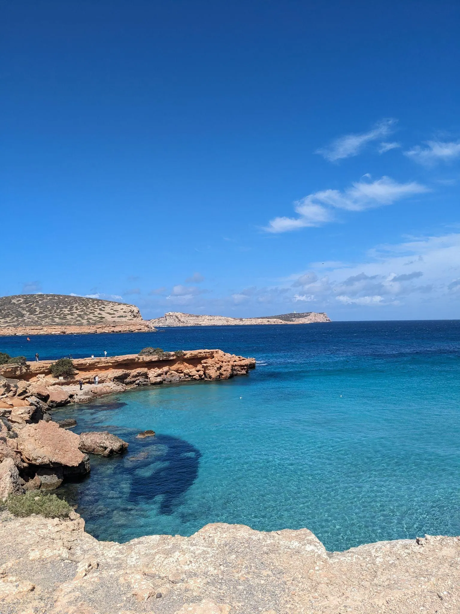A secluded rocky inlet with turquoise water framed by coastal pines and limestone