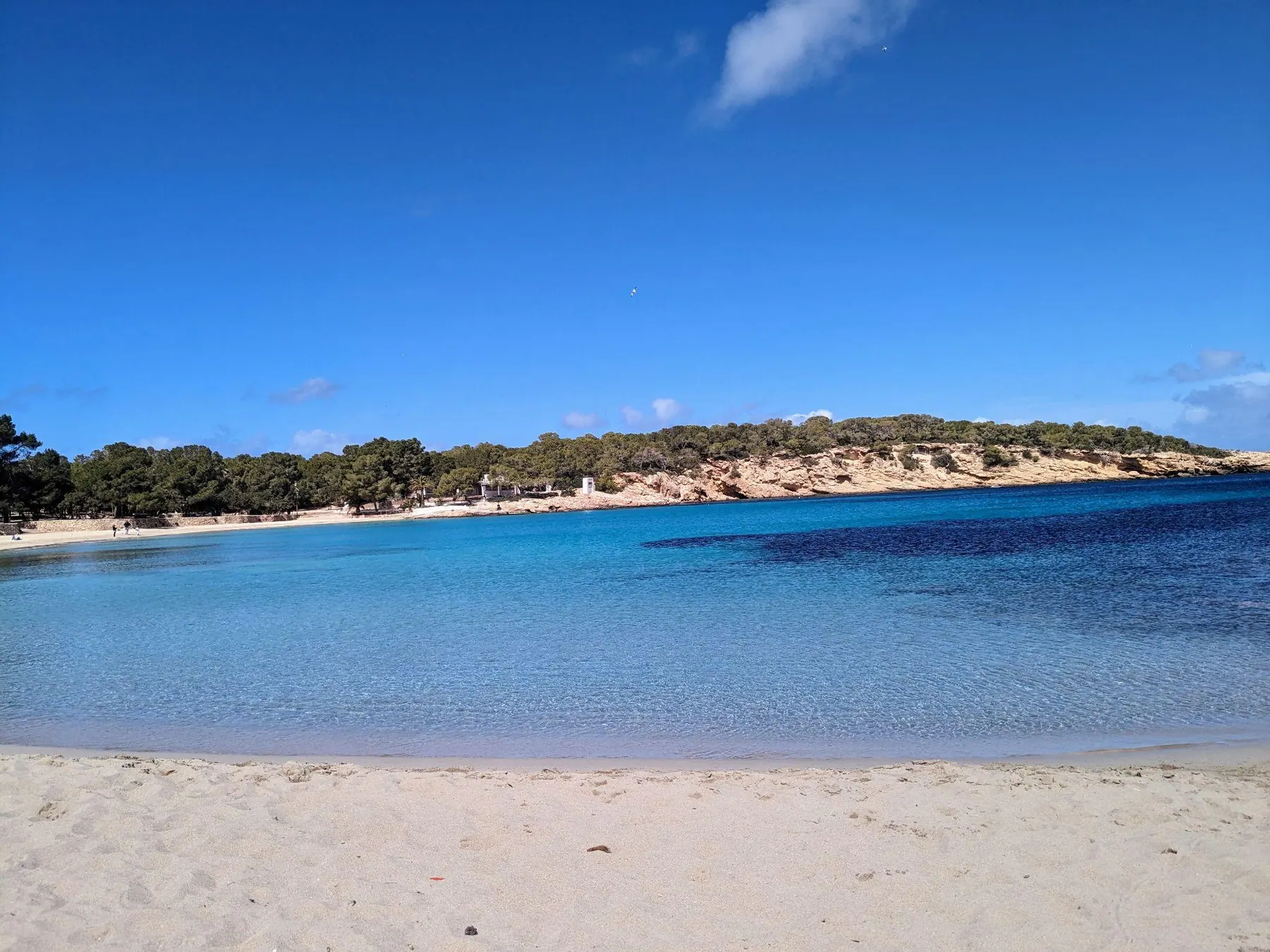 The wide sandy bay of Cala Bassa with empty beach loungers and pale blue sea