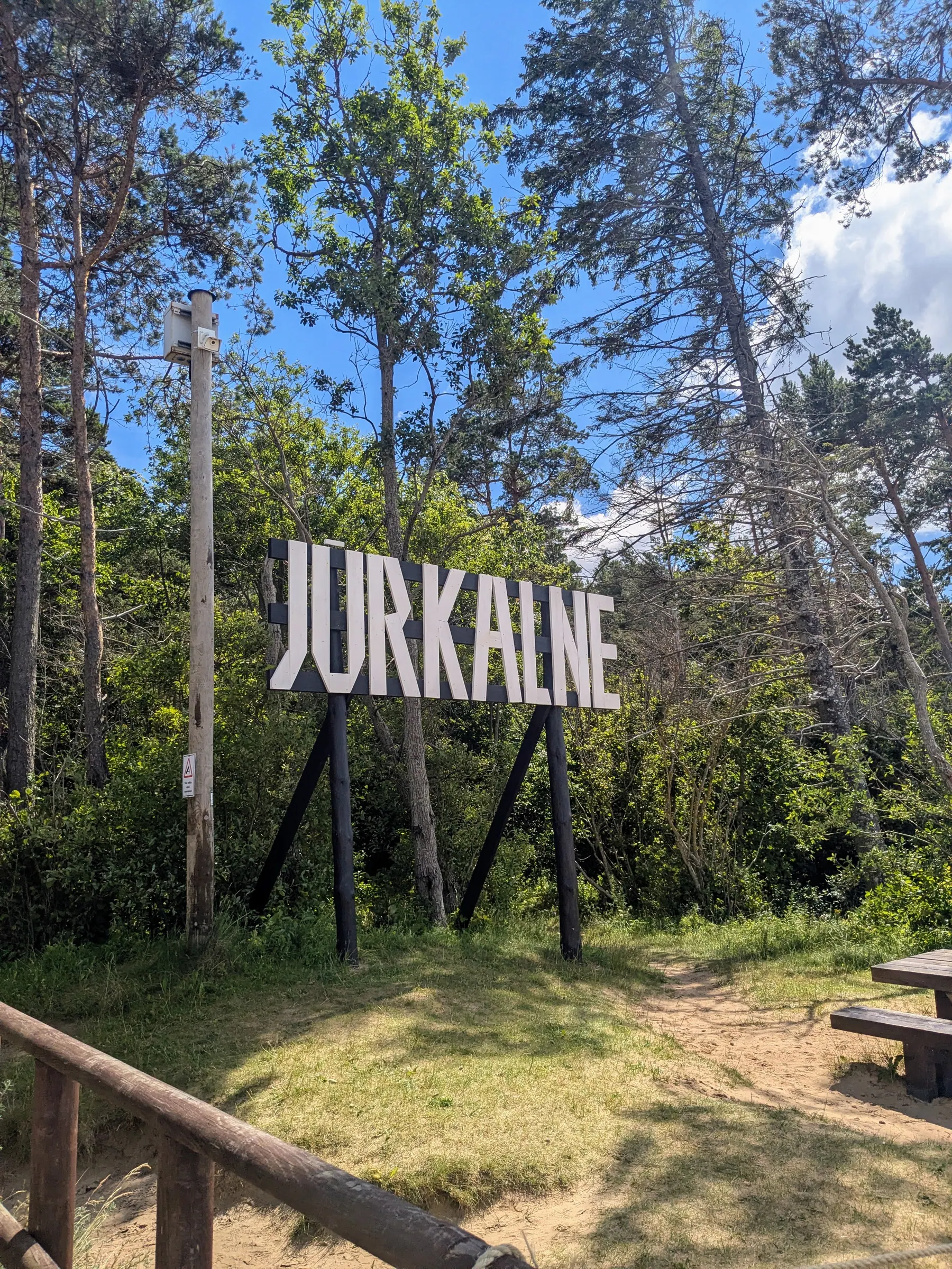 A Jūrkalne sign standing among tall pine trees near the coast