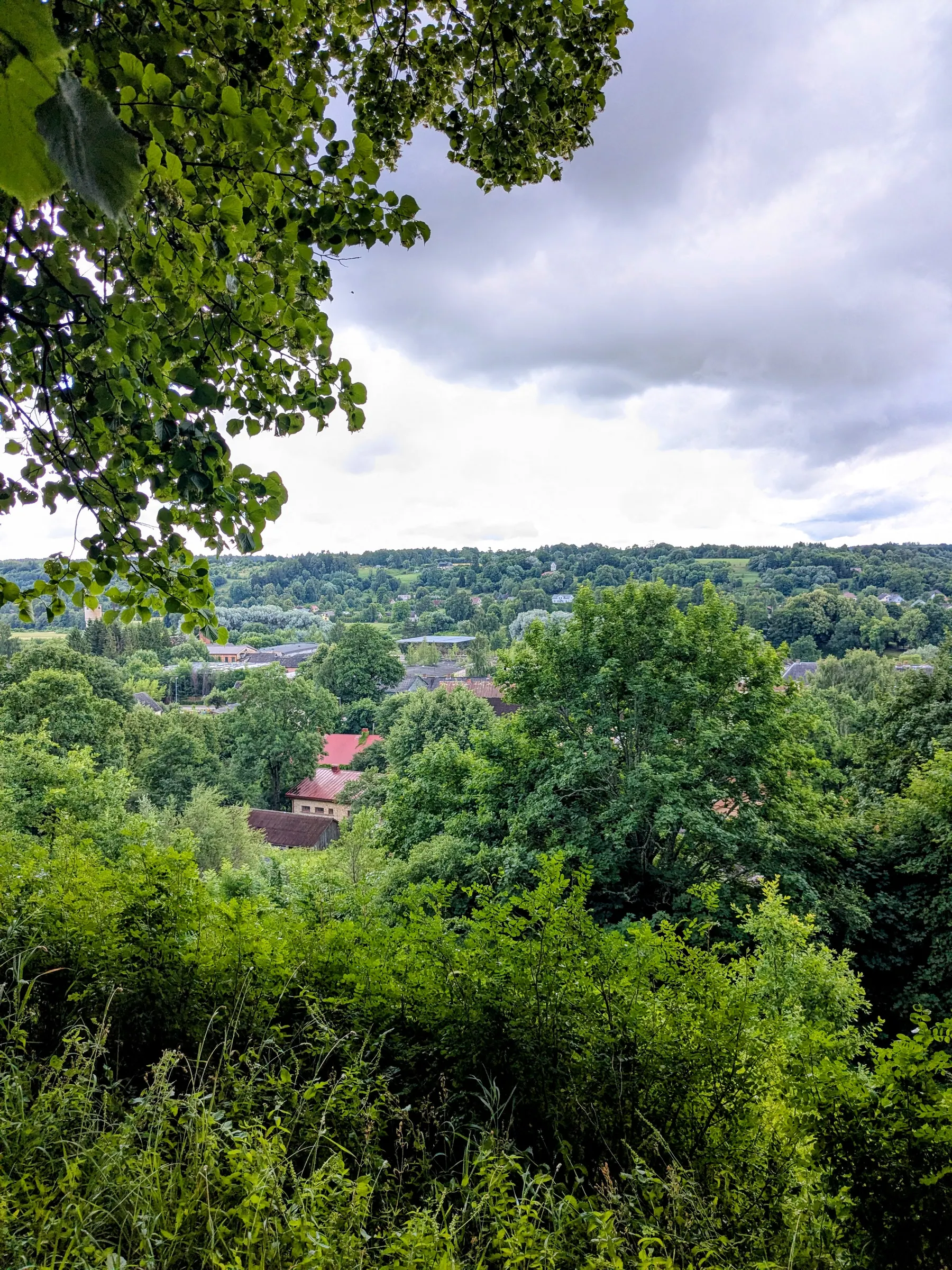 A green view over Sabile and the Abava Valley from the hillfort