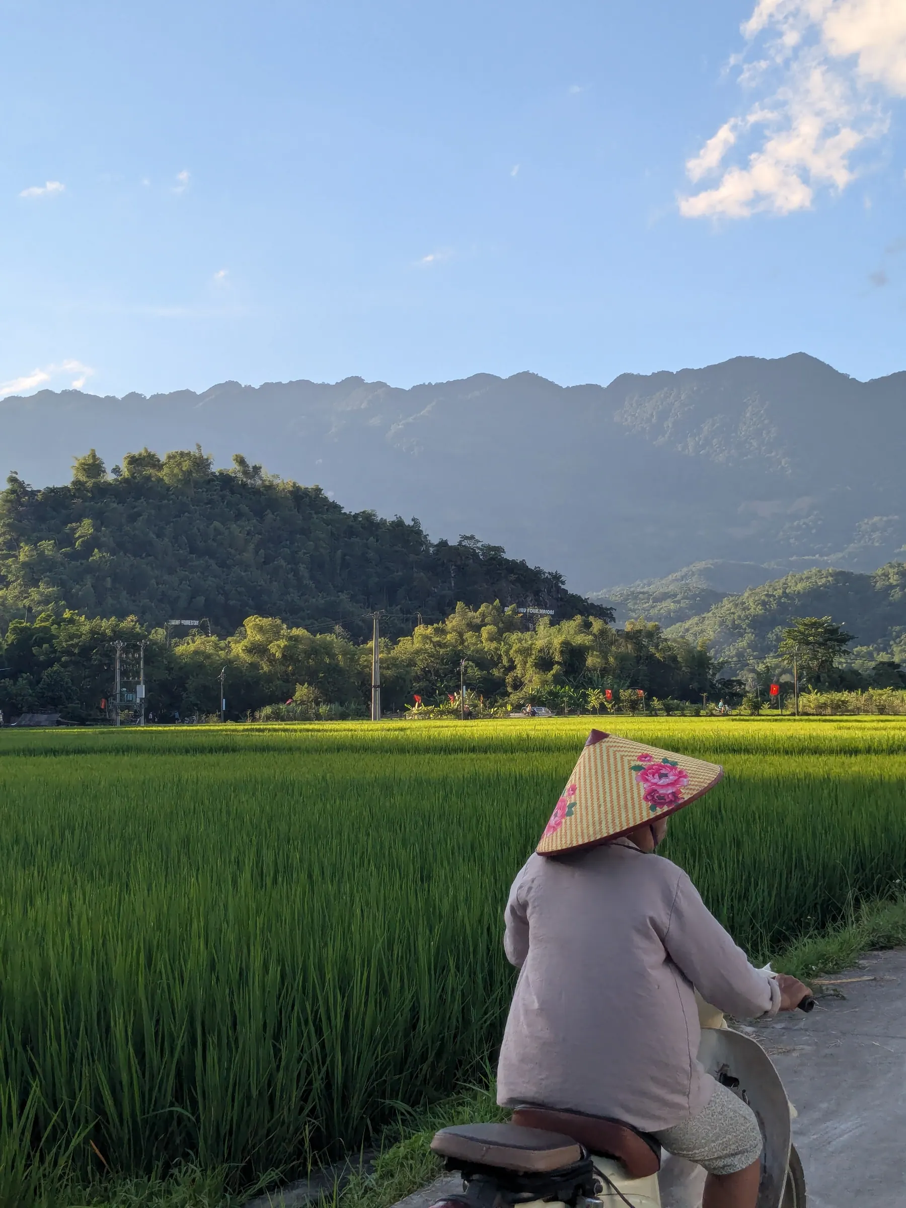 A woman in a conical hat sitting beside green rice fields in Mai Chau