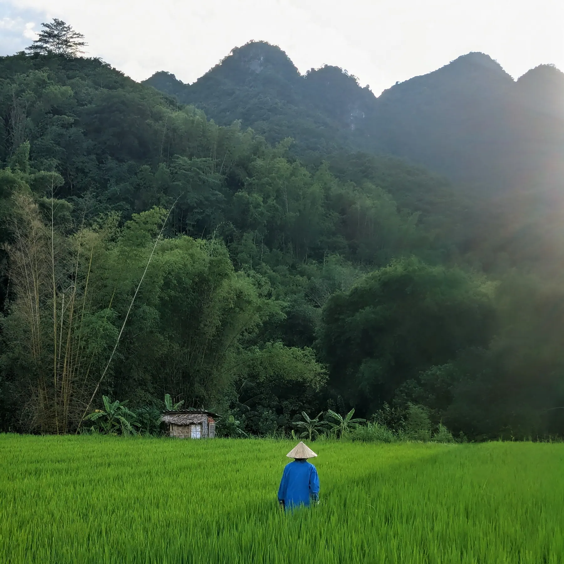 A wide view of Mai Chau's green rice valley framed by mountains