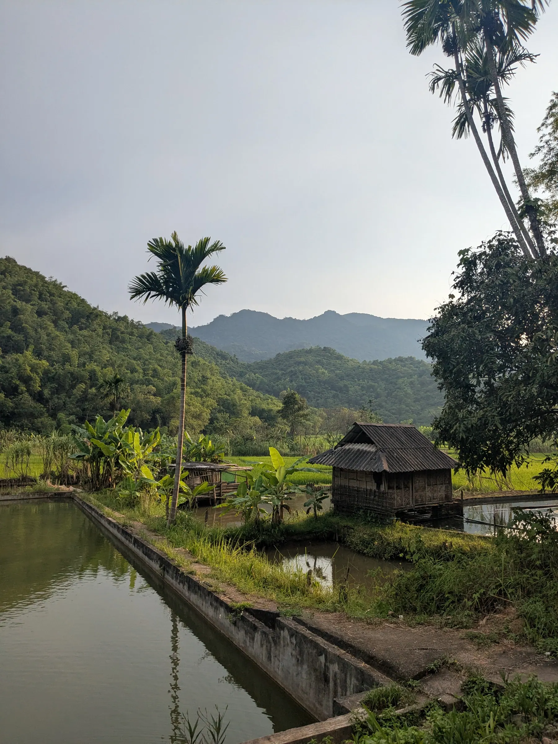 A narrow waterway and stilt houses beside Mai Chau's rice fields