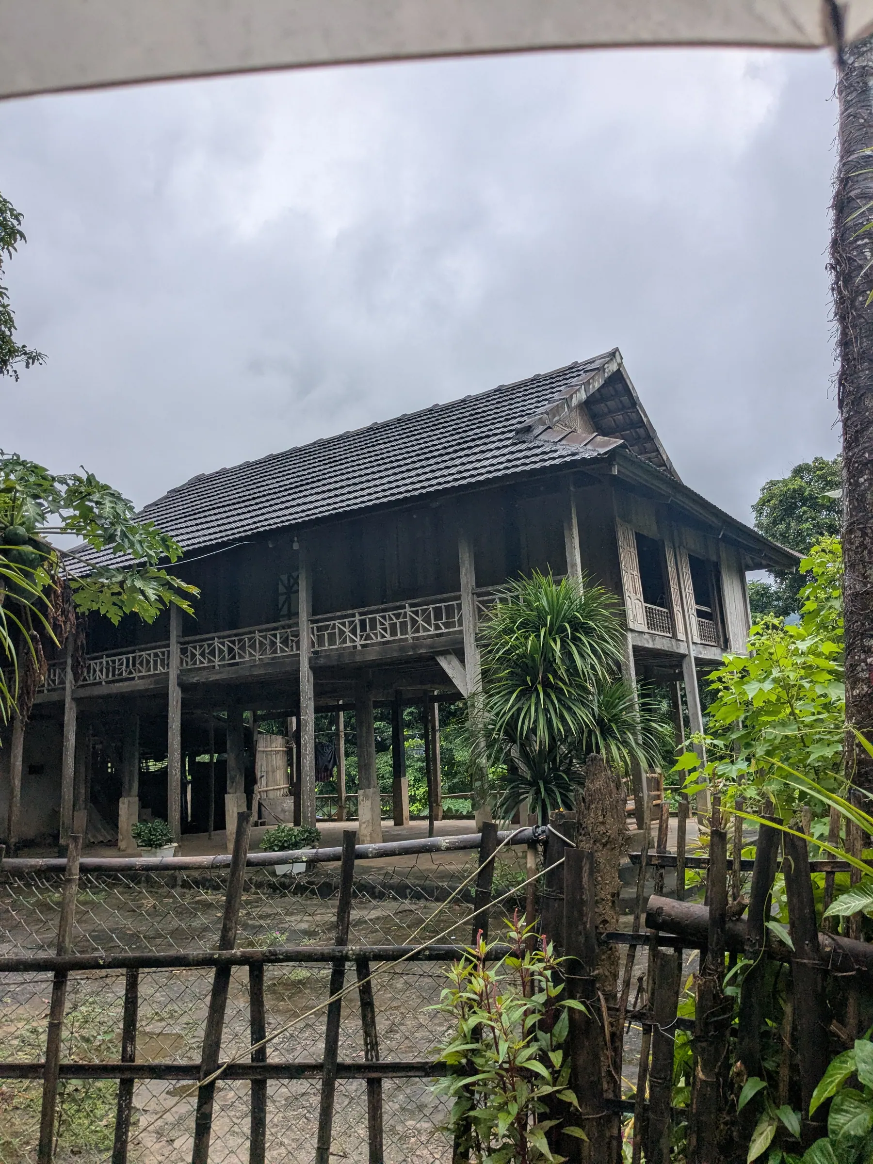 Livestock and belongings beneath a wooden stilt house in Lac Village