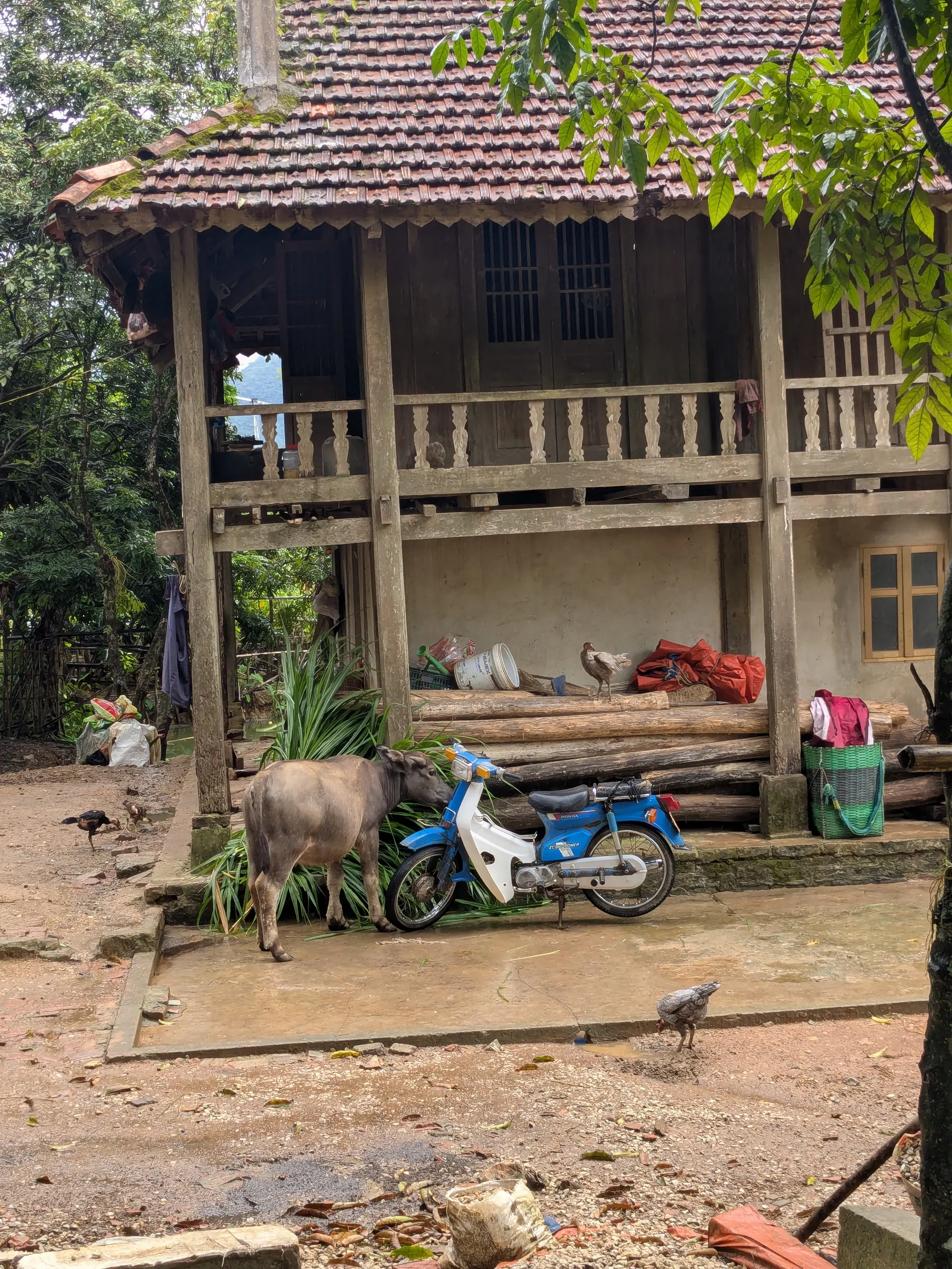 A traditional house courtyard in Lac Village