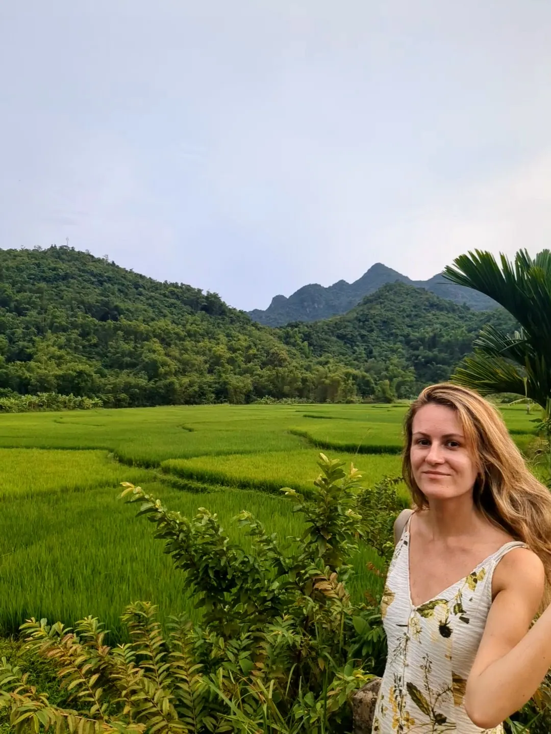A woman standing among lush layered green rice fields with limestone mountains behind her in Mai Chau