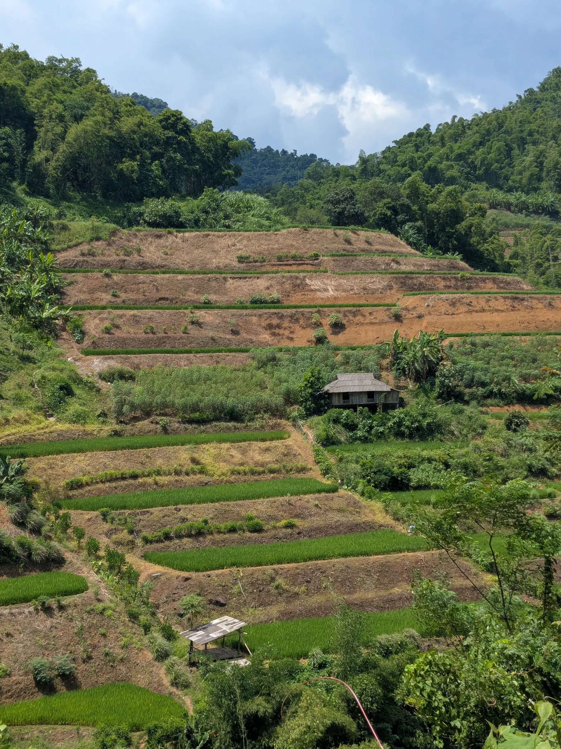 Layered rice fields and green mountains outside Mai Chau