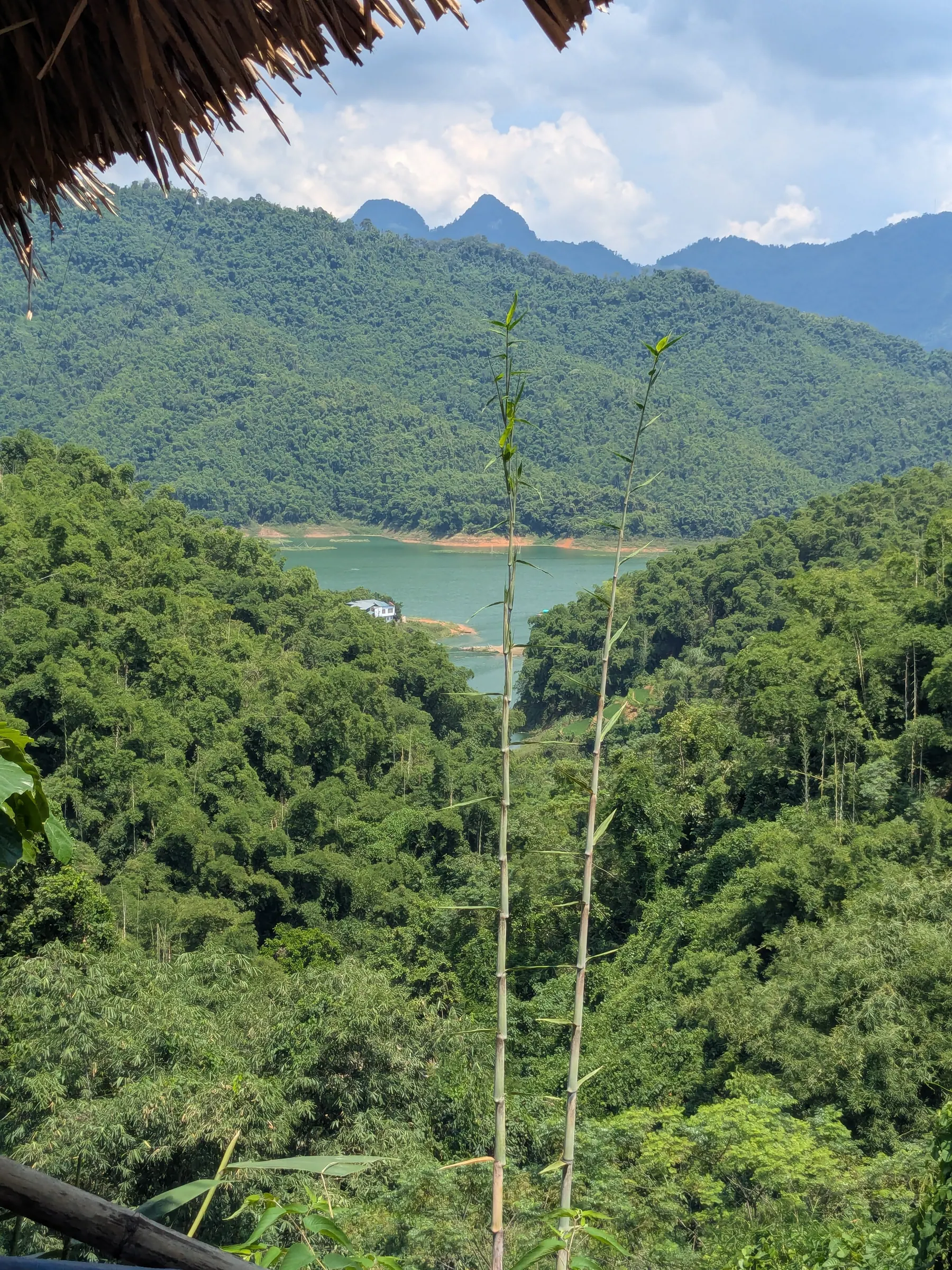 Hòa Bình lake winding between green mountains