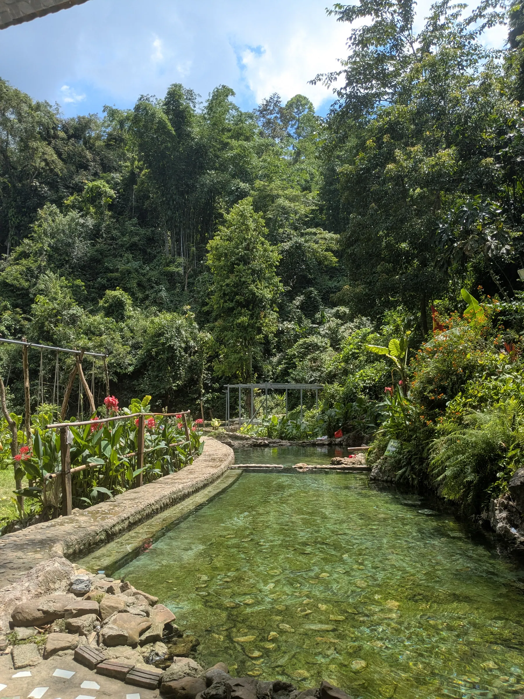 A clear natural pool surrounded by dense greenery at Bo Am hot springs