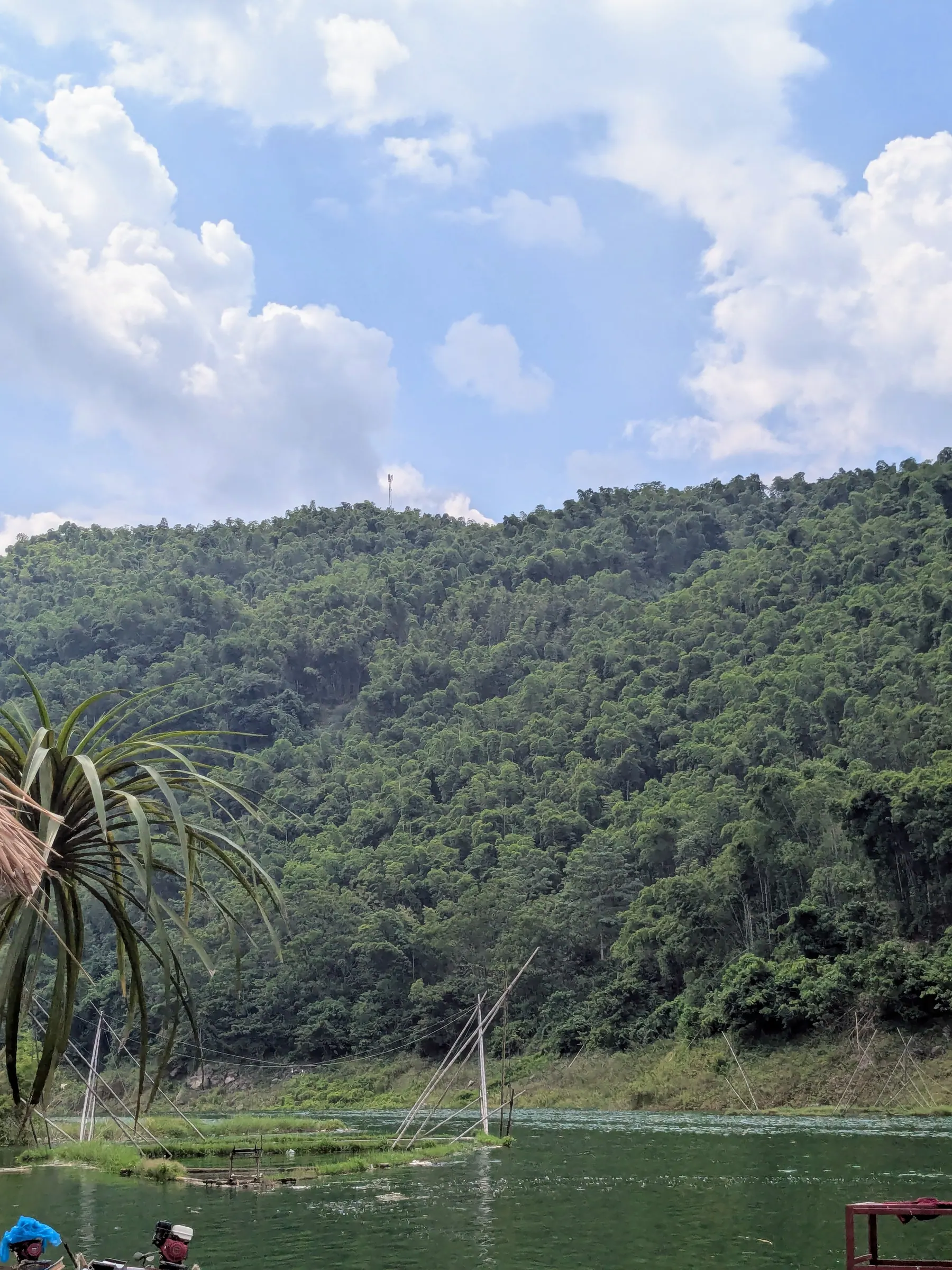 A path beside clear water and jungle vegetation near Hòa Bình lake