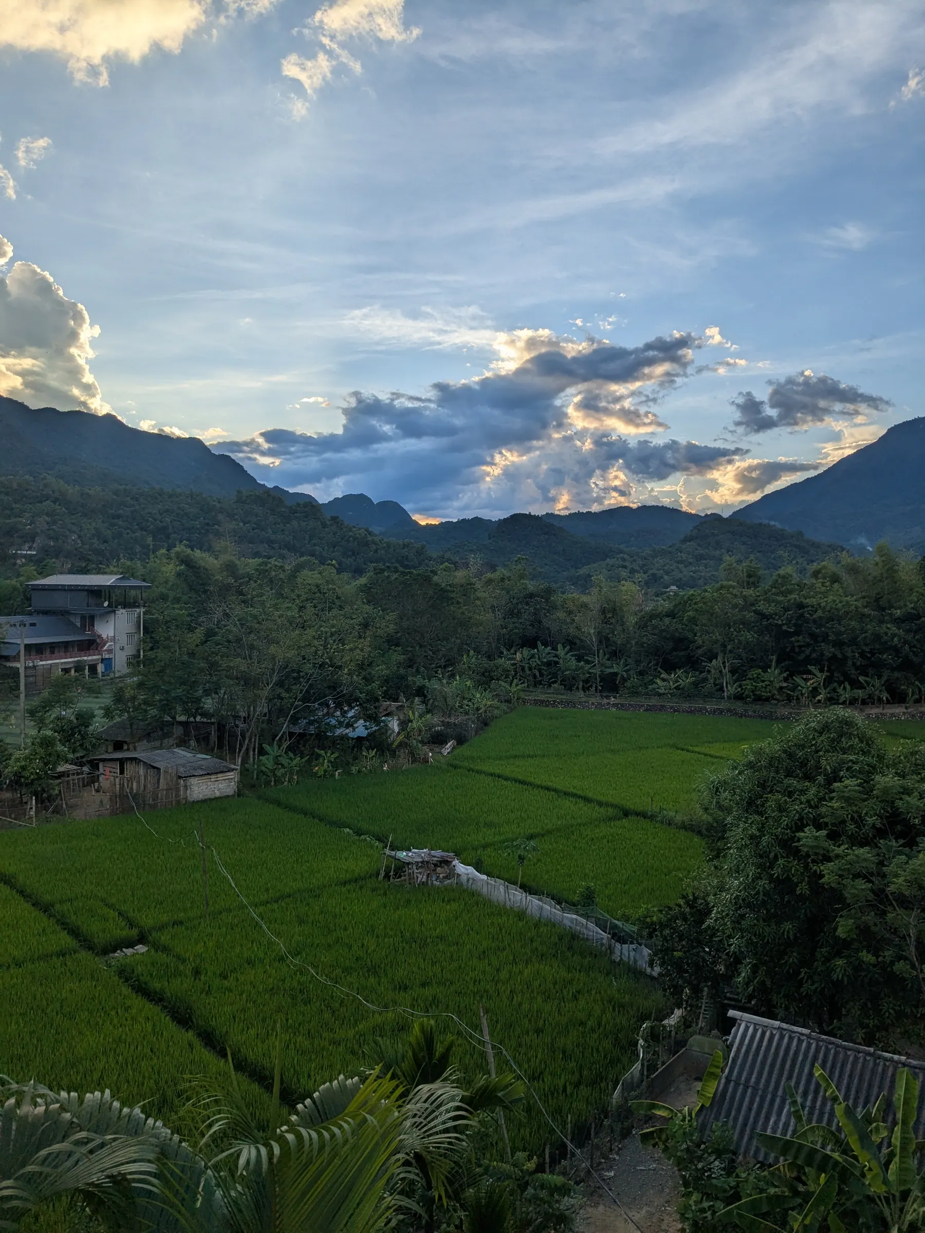 Evening light over Mai Chau's rice fields and mountains