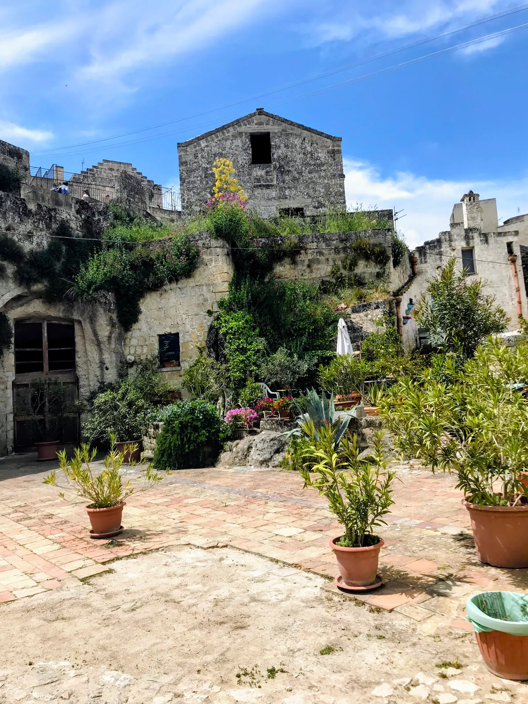 Casas cueva y plantas en macetas en Rione Malve