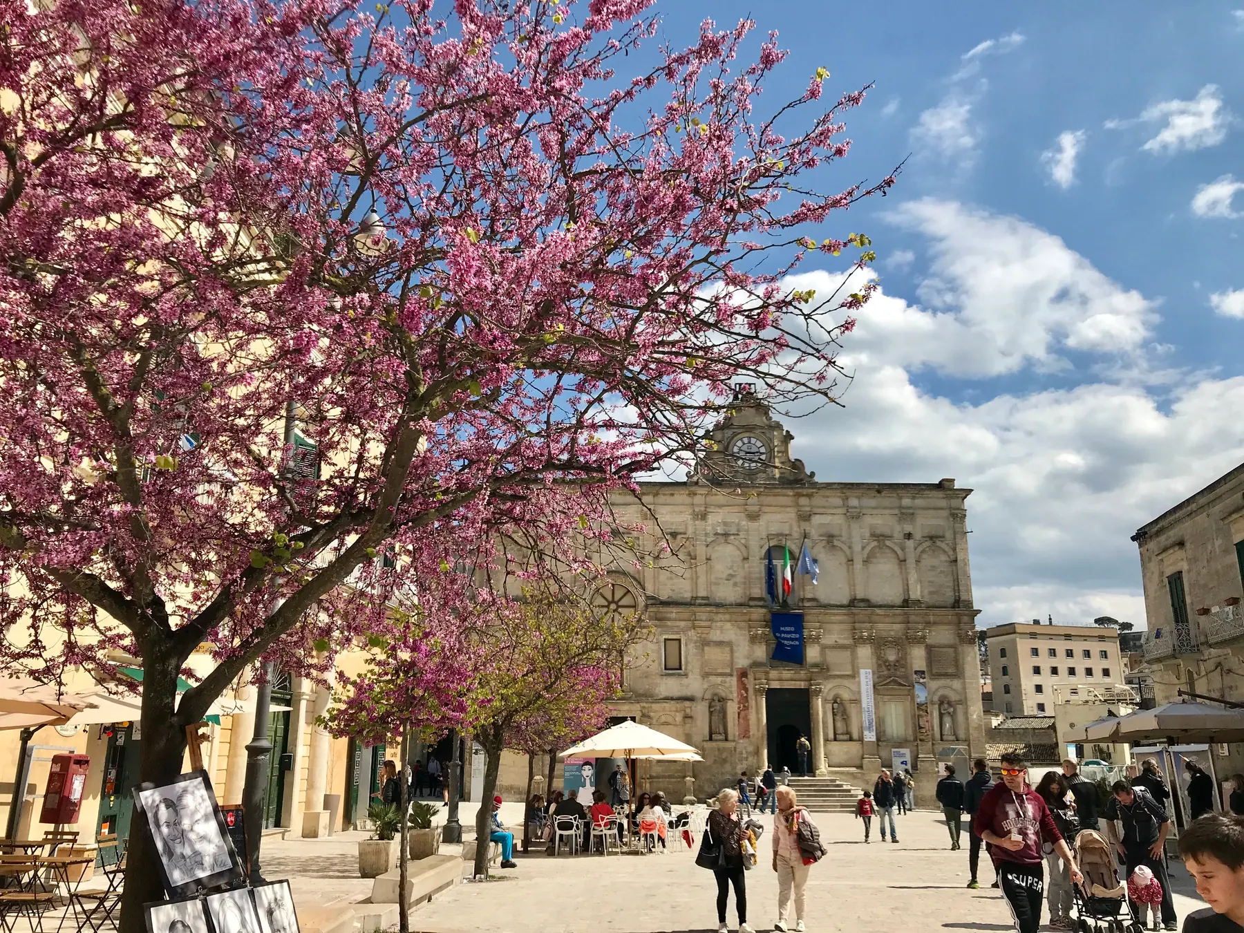 Árbol en flor junto a Via Ridola, en la parte alta de Matera