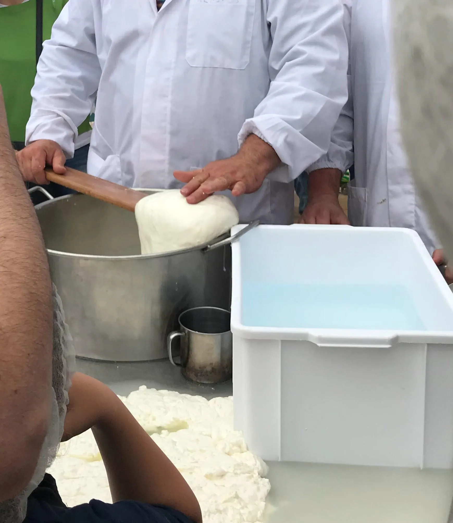 Queseros estirando queso fresco en un taller