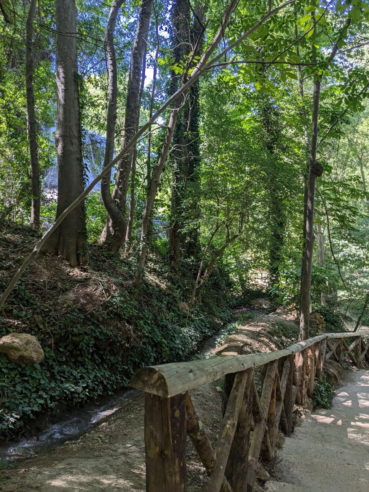 A shaded wooden walkway through the forest at Monasterio de Piedra
