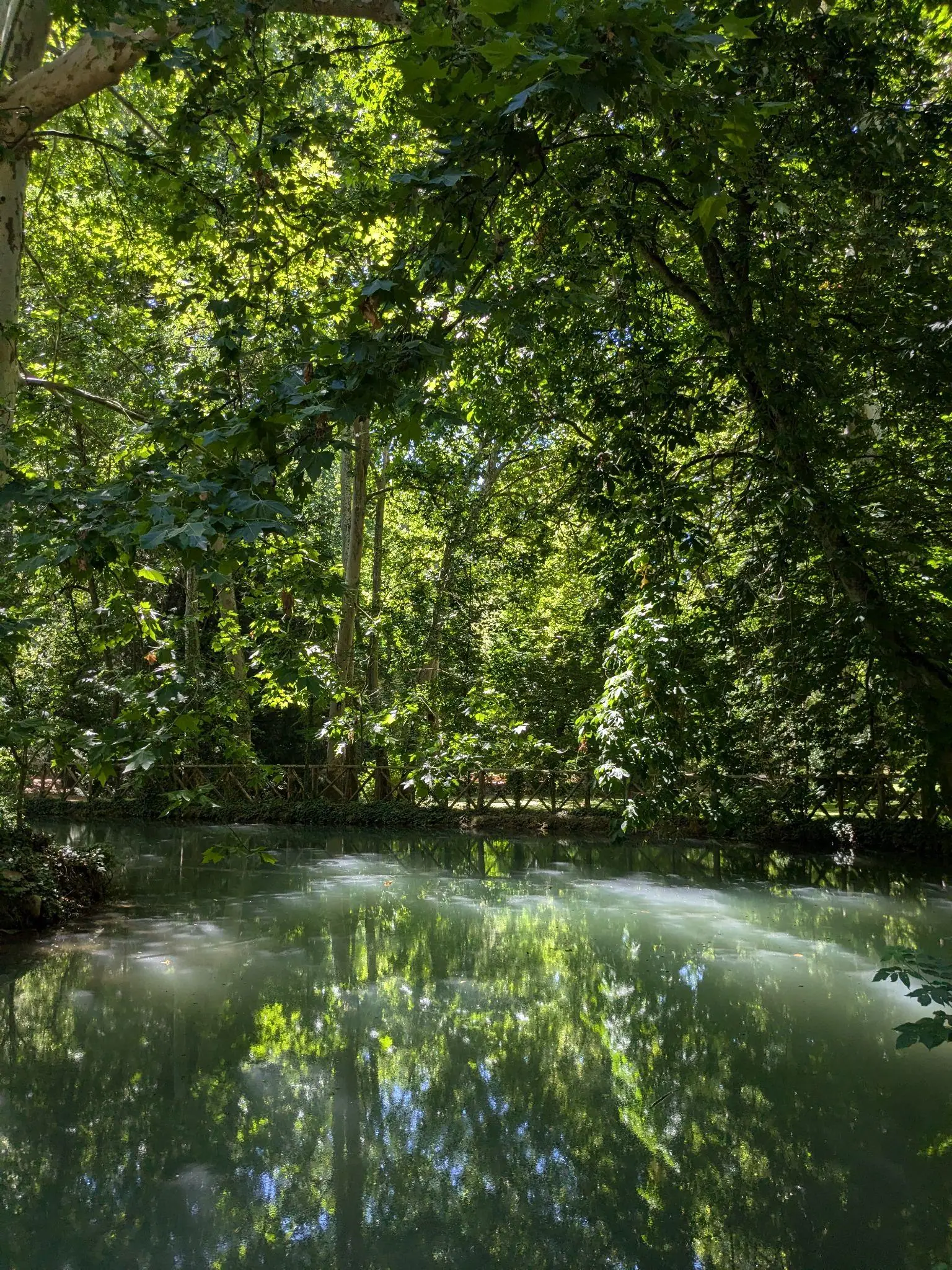 A calm green pool reflecting trees inside Monasterio de Piedra