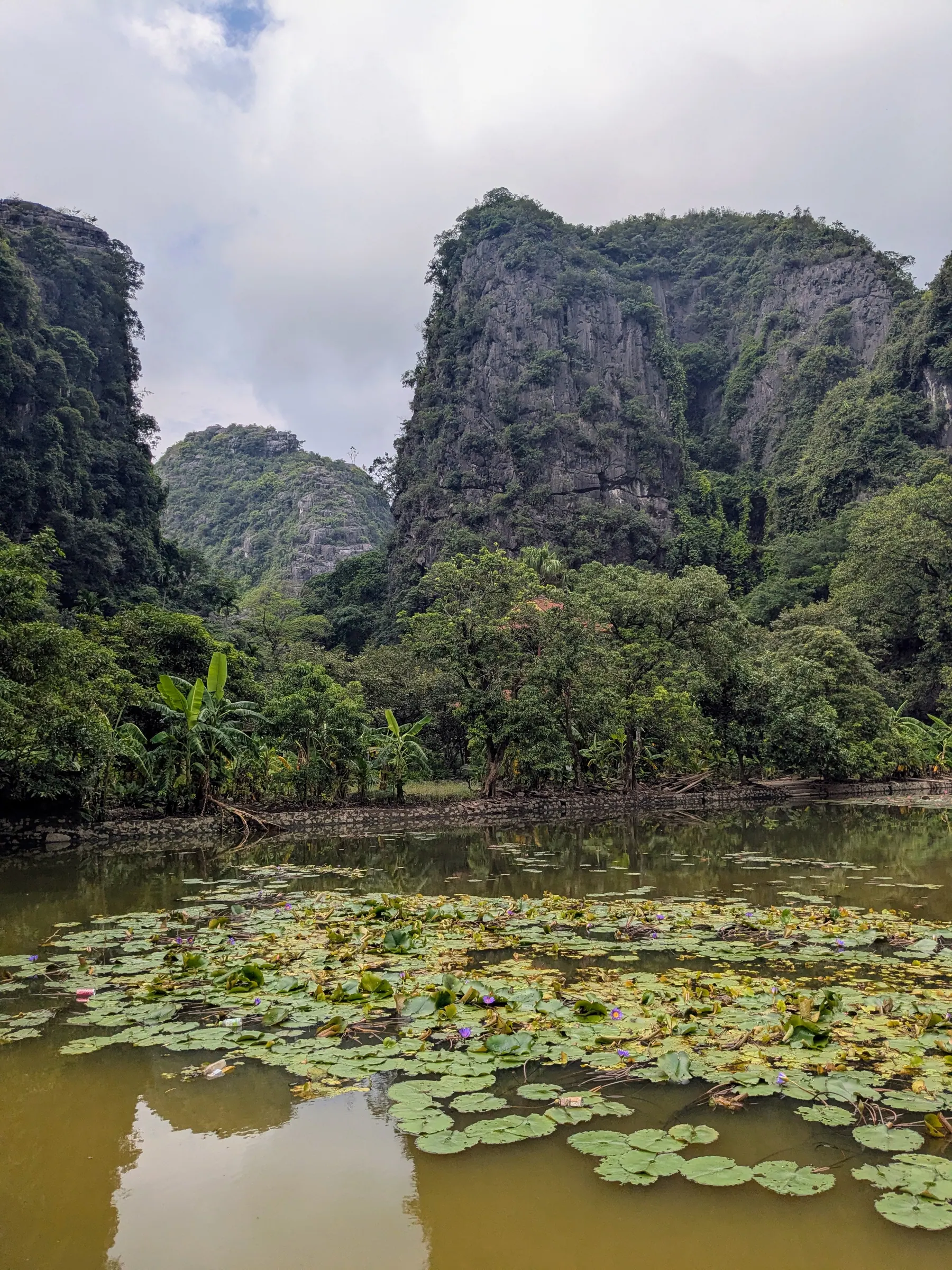 Limestone karsts reflected in a pond near Bich Dong Pagoda