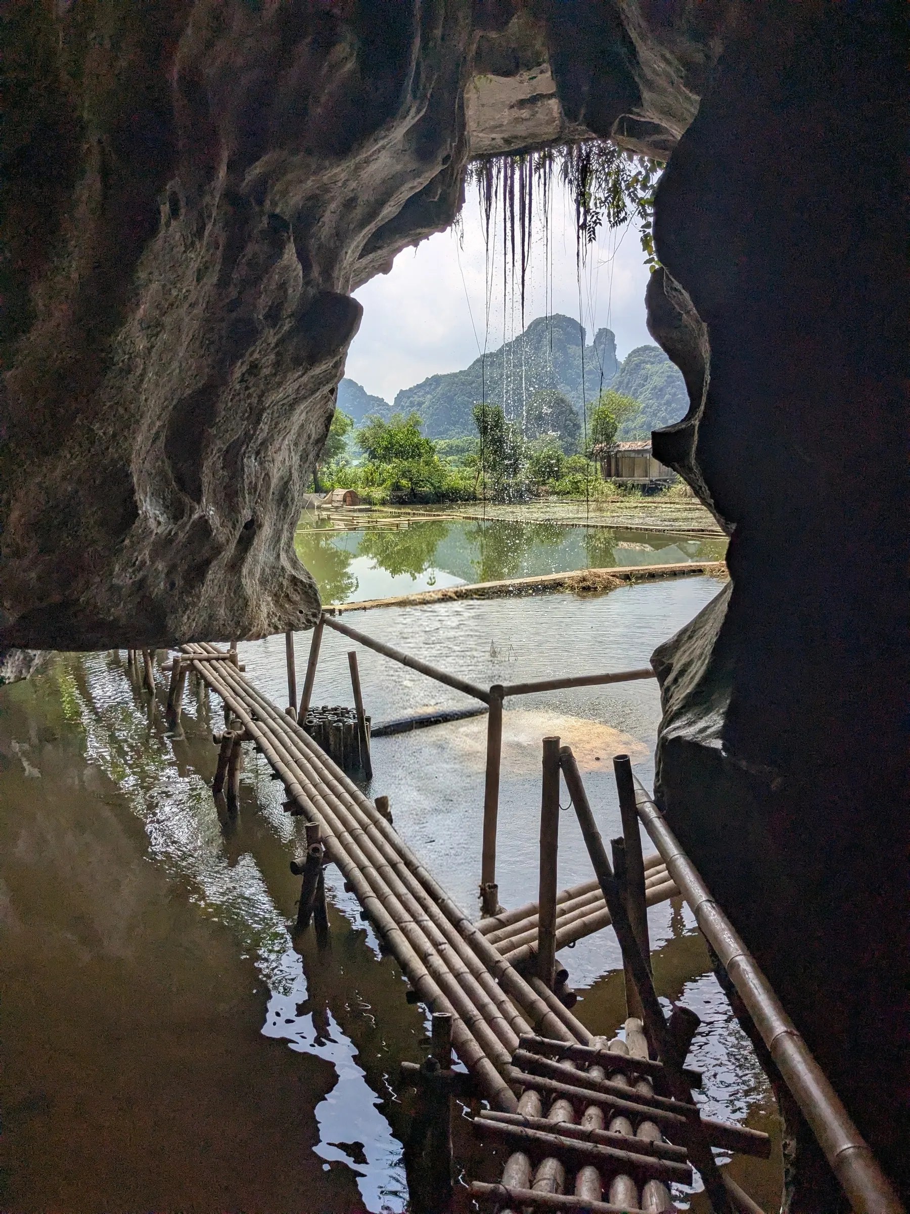 A wooden bridge leading from a cave towards the karst landscape