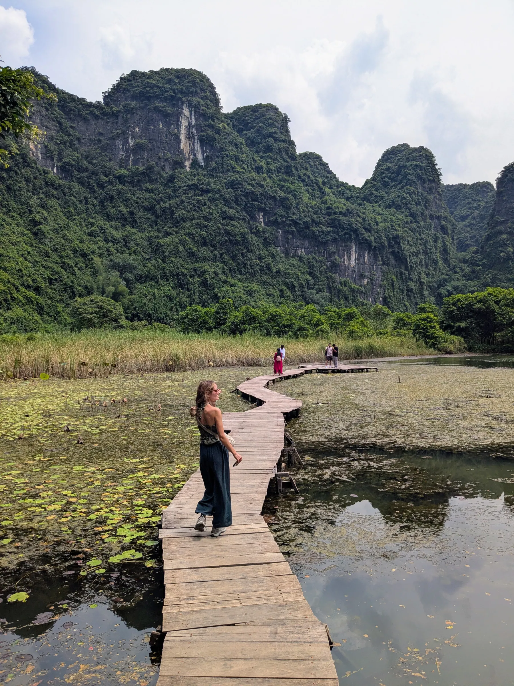 A traveller walking along a wooden path across a lotus pond
