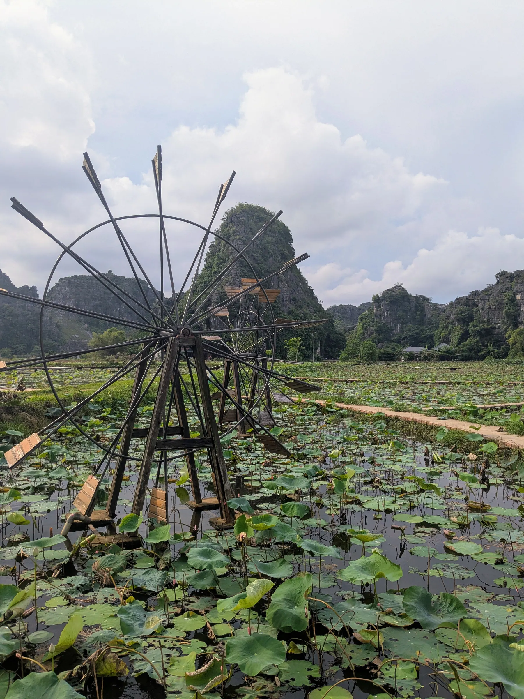 A lotus pond and wooden waterwheel below limestone mountains near Mua Cave
