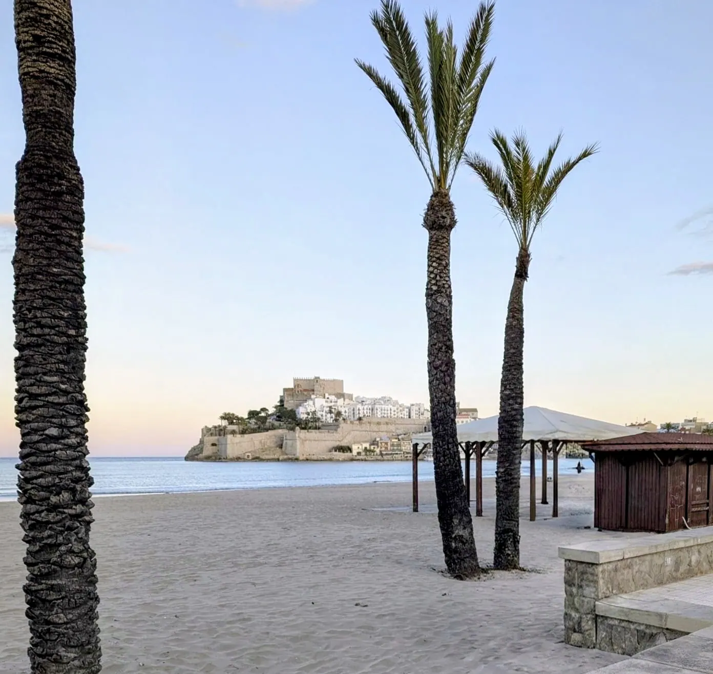 Peñíscola castle framed by palm trees beside the beach