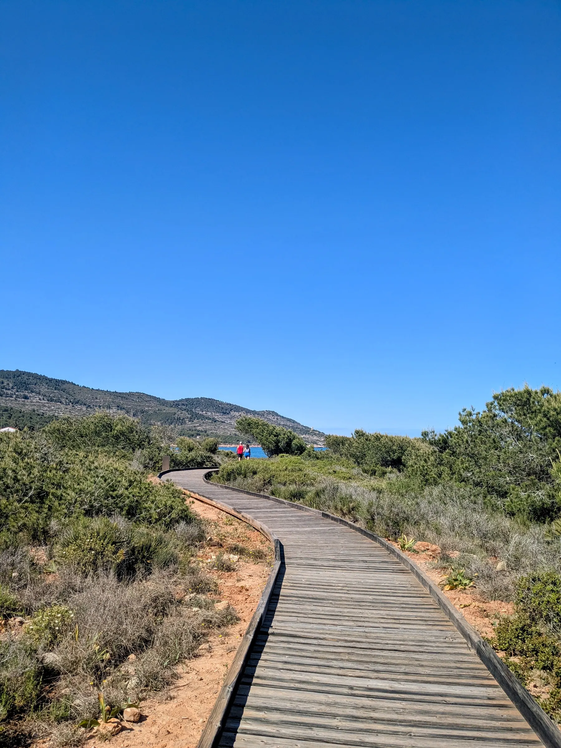 Wooden boardwalk crossing Mediterranean shrubland near Platja del Pebret