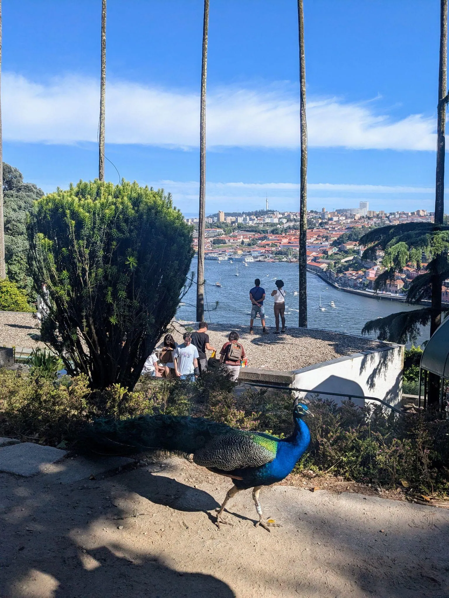 A river view from Jardins do Palacio de Cristal in Porto