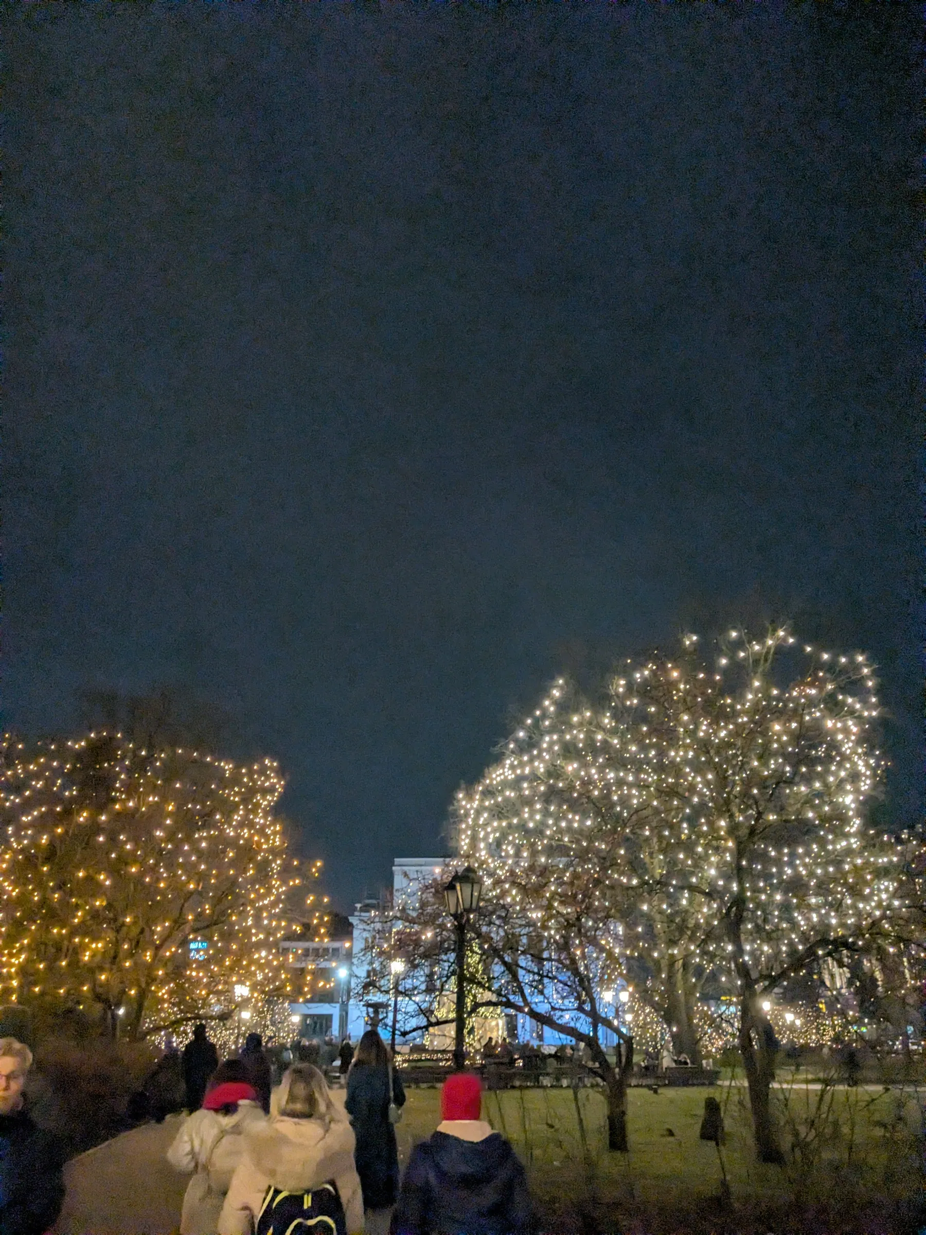 Centenary trees along Riga canal park completely wrapped trunk-to-crown in thousands of golden fairy lights