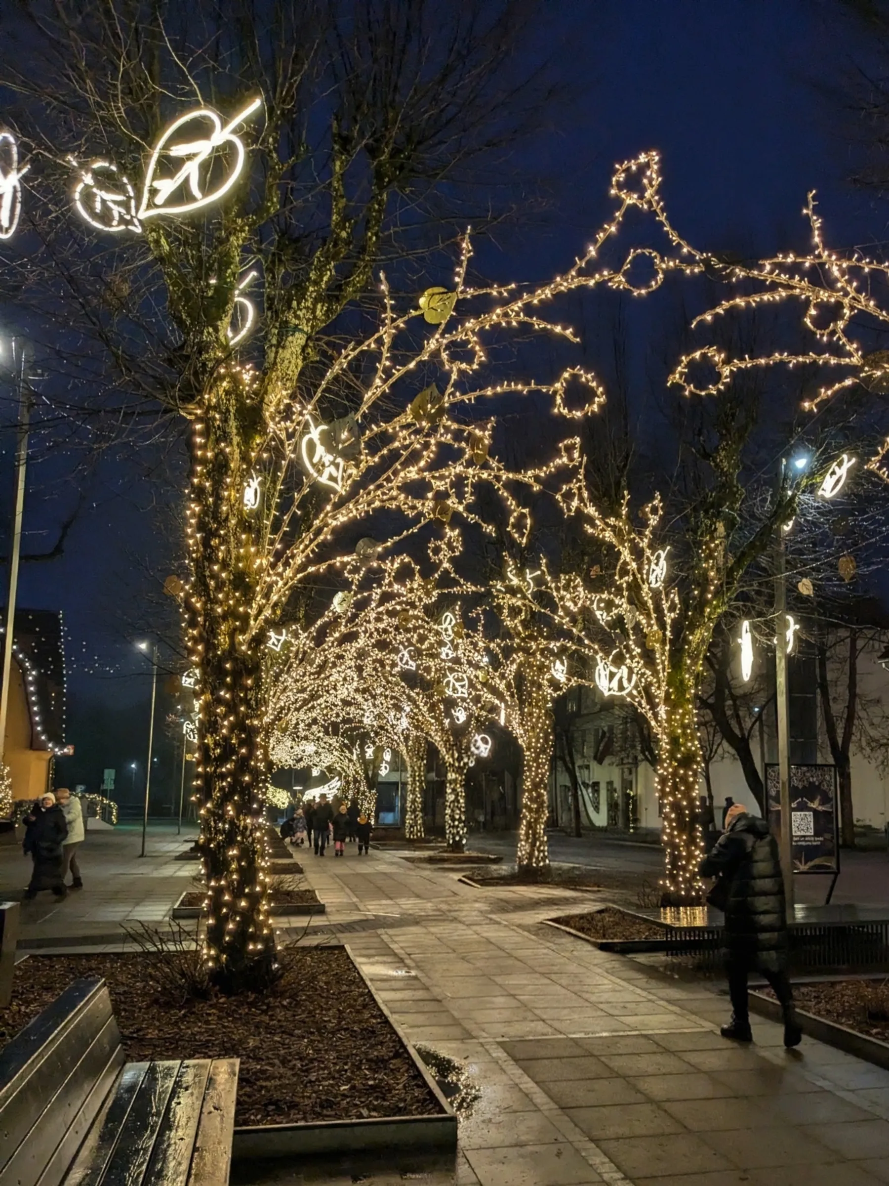 Pedestrian promenade of Brivibas iela in Ogre at night framed by illuminated trees forming a golden arch of lights