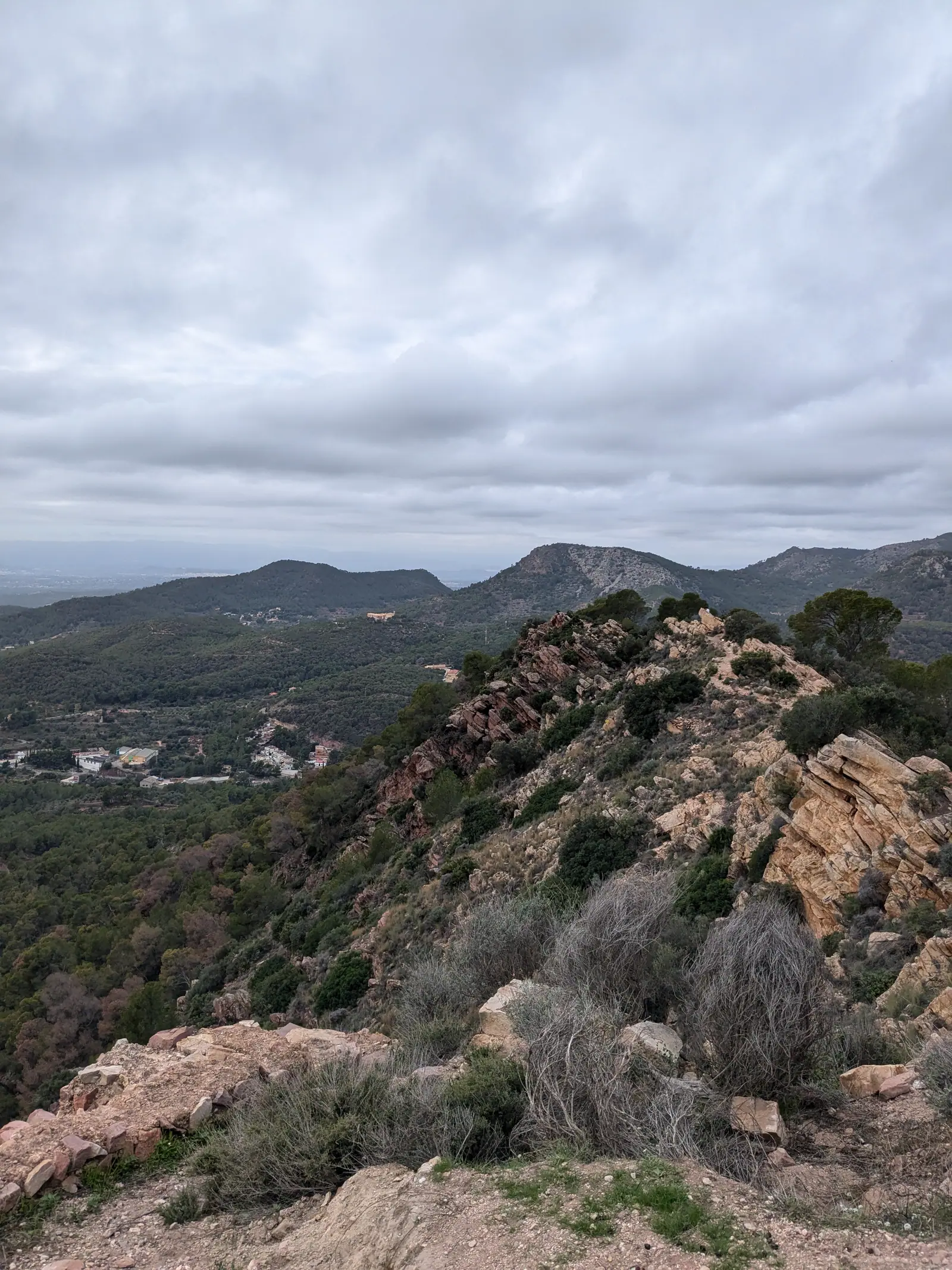 Crestas rocosas y bosque vistos desde la ruta al Castell de Serra