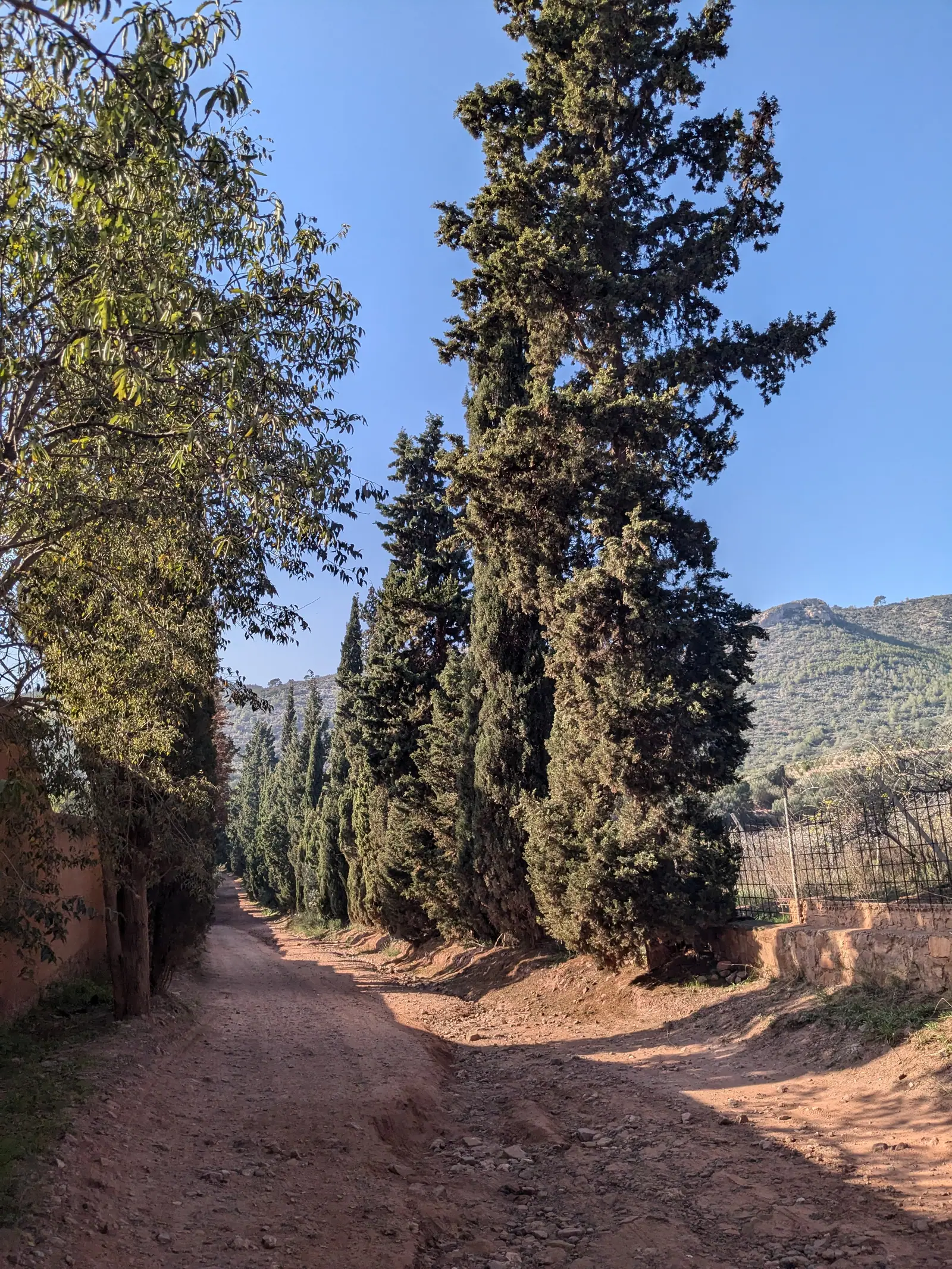Una ancha pista forestal que sube desde Portaceli hacia las montañas