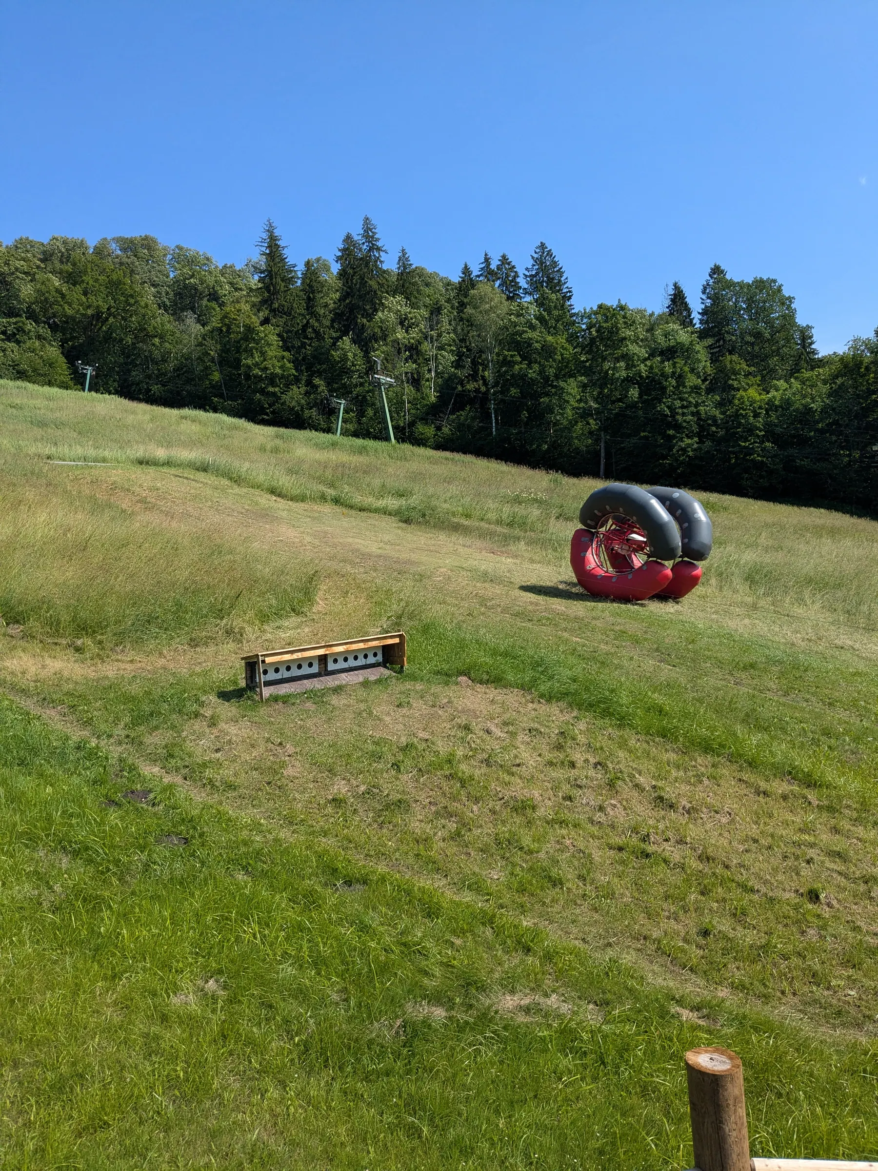 A chairlift rising above the forest at Tarzāns adventure park